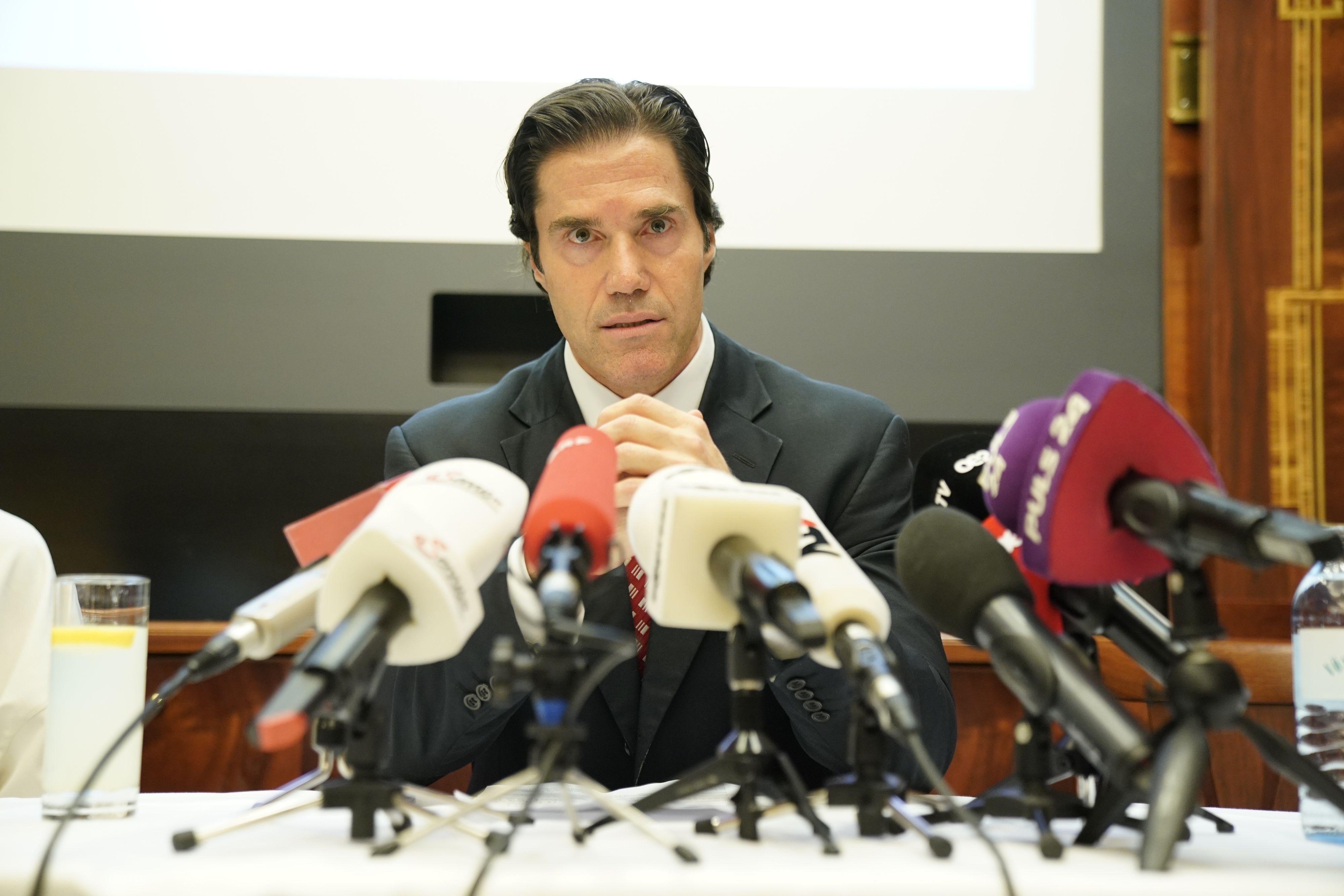 Wallentin über seine Kandidatur: 