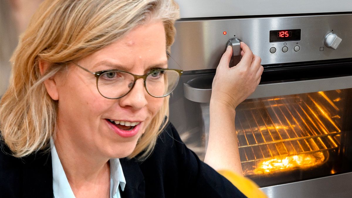 Gewessler rät: Lieber Herdplatte statt Backrohr nutzen. Das spart Energie.