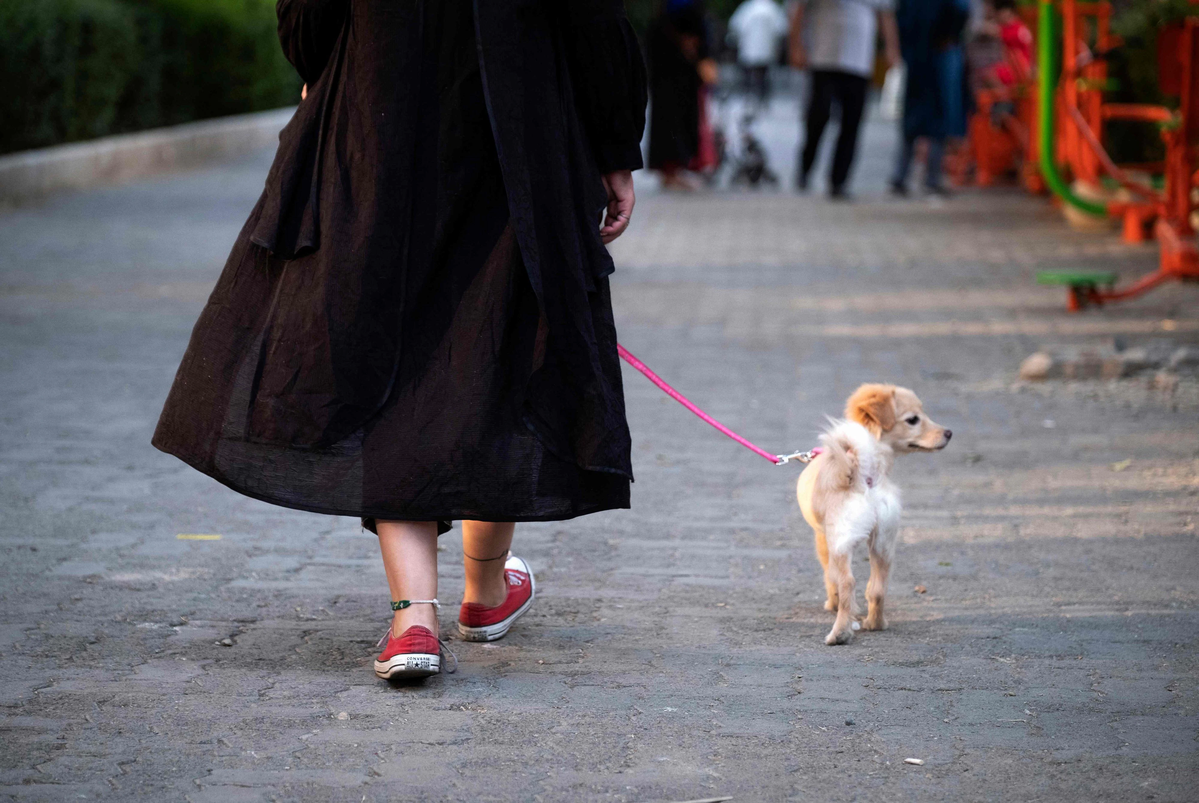 Download von www.picturedesk.com am 23.08.2022 (11:13).  An Iranian woman walks her dog in the Ekbatan neighbourhood in western Tehran on Presidential elections day, on June 18, 2021. - Iranians voted in a presidential election in which ultraconservative cleric Ebrahim Raisi is seen as all but certain to coast to victory after all serious rivals were barred from running. (Photo by MORTEZA NIKOUBAZL / AFP) - 20210618_PD8232 - Rechteinfo: Rights Managed (RM) Nur für redaktionelle Nutzung! Werbliche Nutzung erfordert Freigabe: bitte schicken Sie uns eine Anfrage.