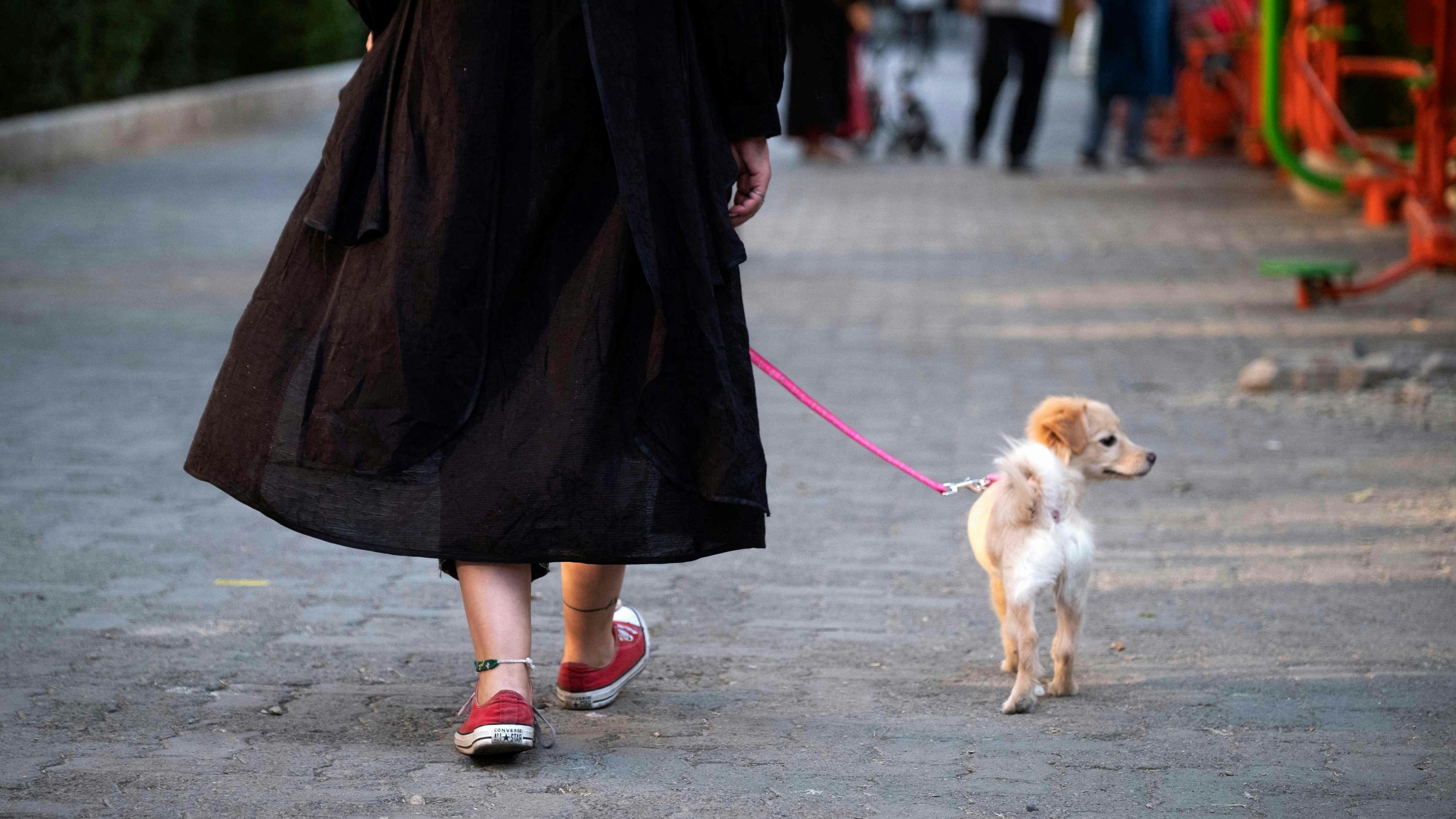 Download von www.picturedesk.com am 23.08.2022 (11:13).  An Iranian woman walks her dog in the Ekbatan neighbourhood in western Tehran on Presidential elections day, on June 18, 2021. - Iranians voted in a presidential election in which ultraconservative cleric Ebrahim Raisi is seen as all but certain to coast to victory after all serious rivals were barred from running. (Photo by MORTEZA NIKOUBAZL / AFP) - 20210618_PD8232 - Rechteinfo: Rights Managed (RM) Nur für redaktionelle Nutzung! Werbliche Nutzung erfordert Freigabe: bitte schicken Sie uns eine Anfrage.