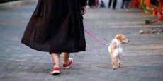 Iran setzt Gassigehen mit Hunden unter Strafe