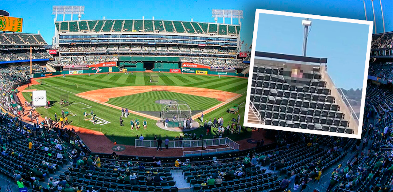 Heute.at - Paar hat Sex bei Baseball-Spiel – Polizei ermittelt