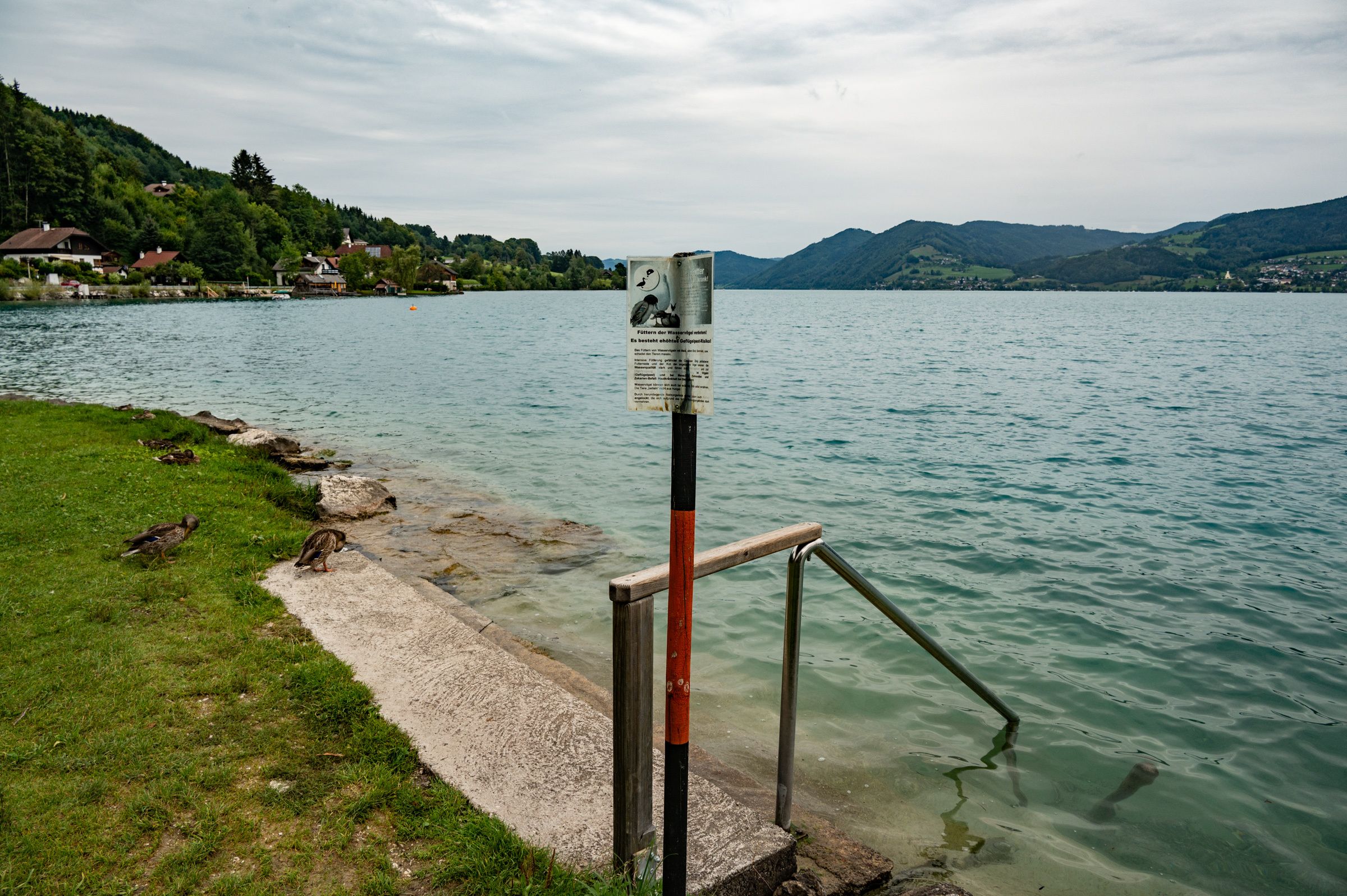 Die 45-Jährige verstarb noch am Ufer.