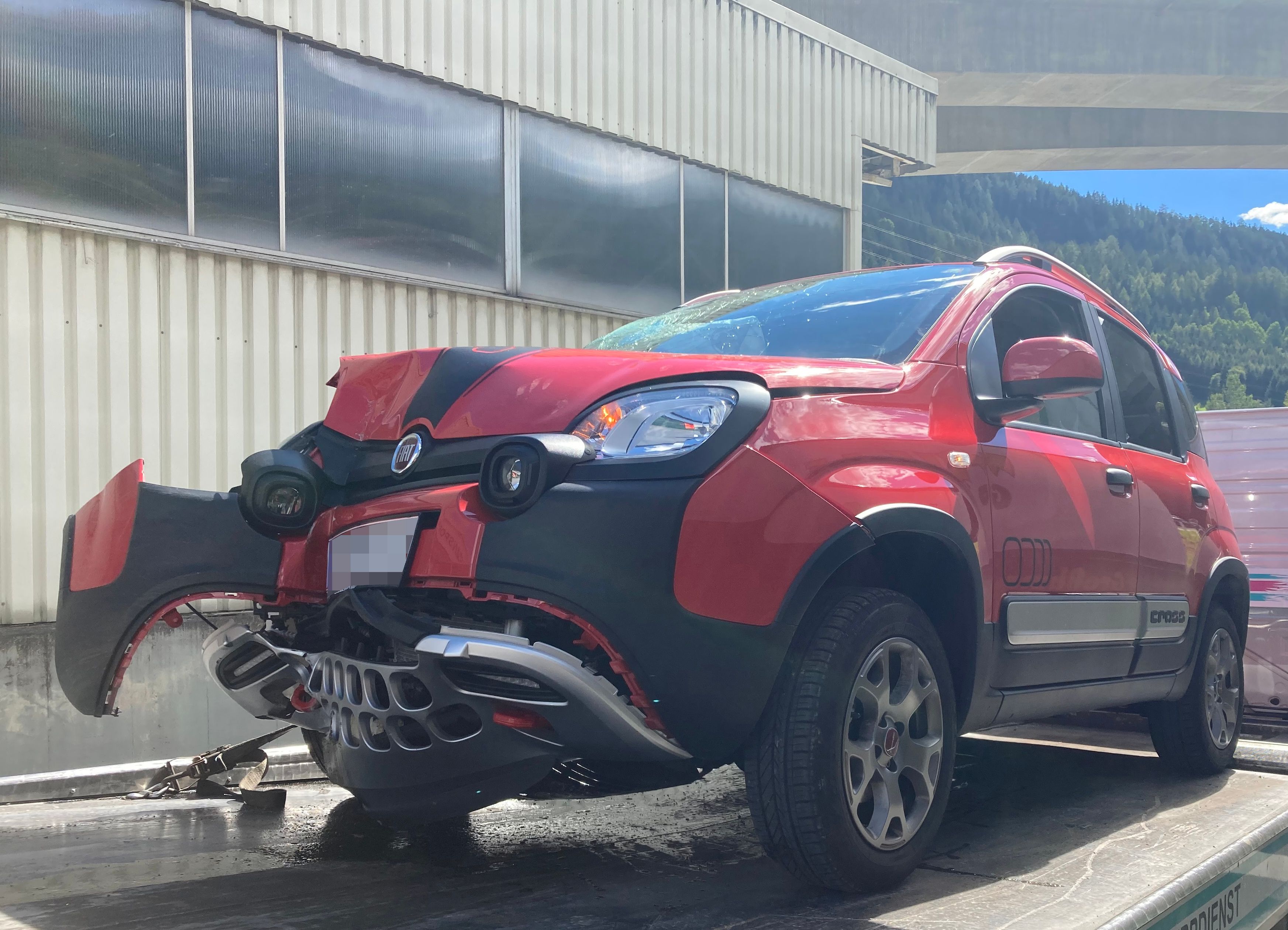 Ein Mäusebussard flog durch das geöffnete Fenster ins Fahrzeuginnere des Fiats und verfing sich in den Haaren der 17-jährigen Autofahrerin.