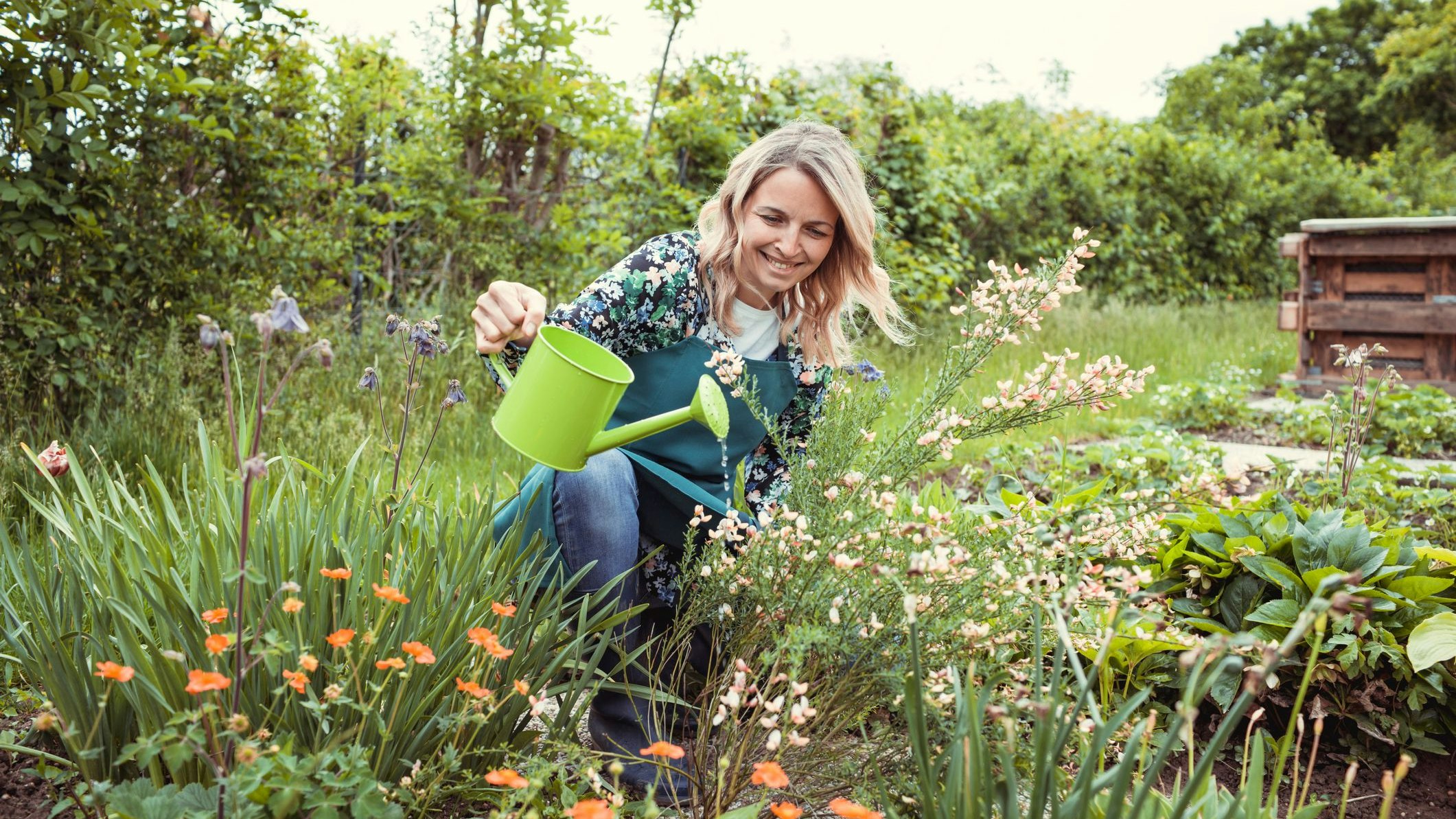 pretty blonde gardener working in garden with flowers and wearing green work apron