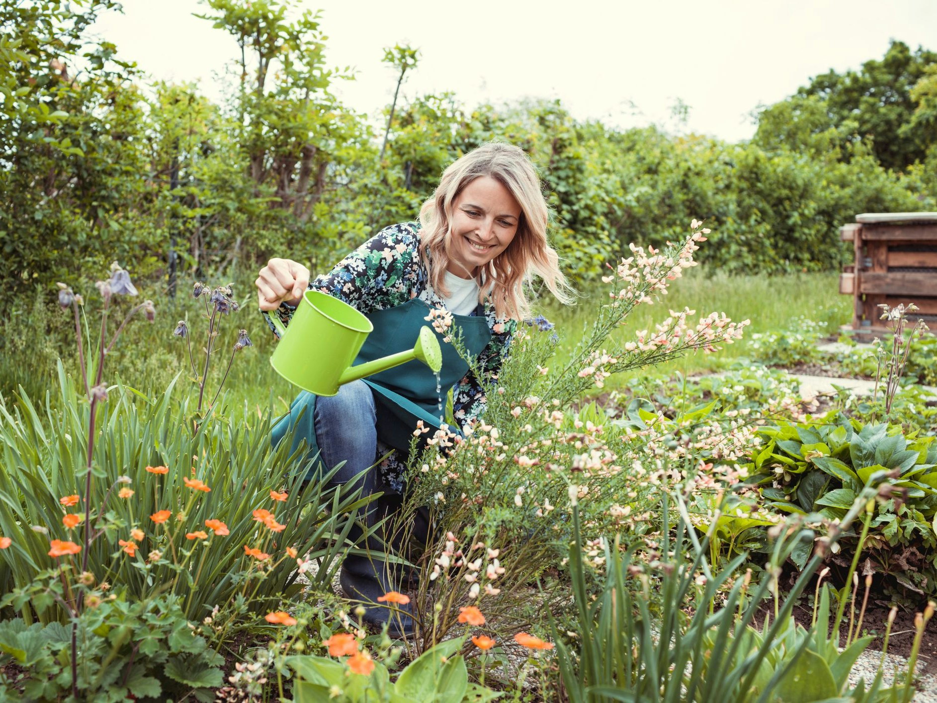 pretty blonde gardener working in garden with flowers and wearing green work apron