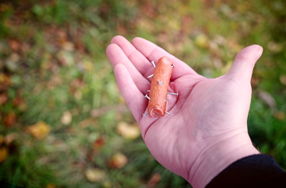 Ein unbekannter Tierhasser legte solche Köder im Grünbereich einer Wohnhausanlage aus. (Symbolbild)