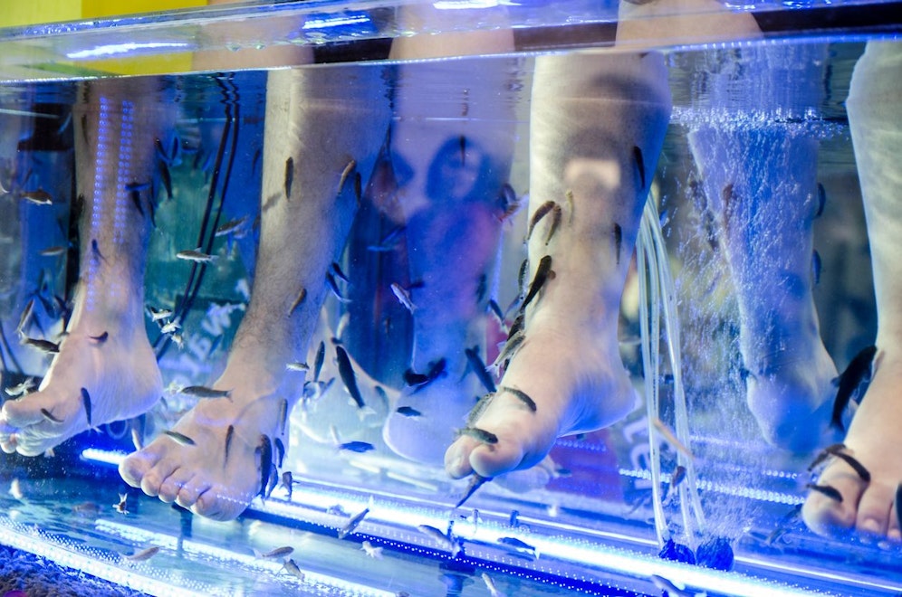 Bei der Fisch-Pediküre kann man mehr als nur trockene Haut verlieren.