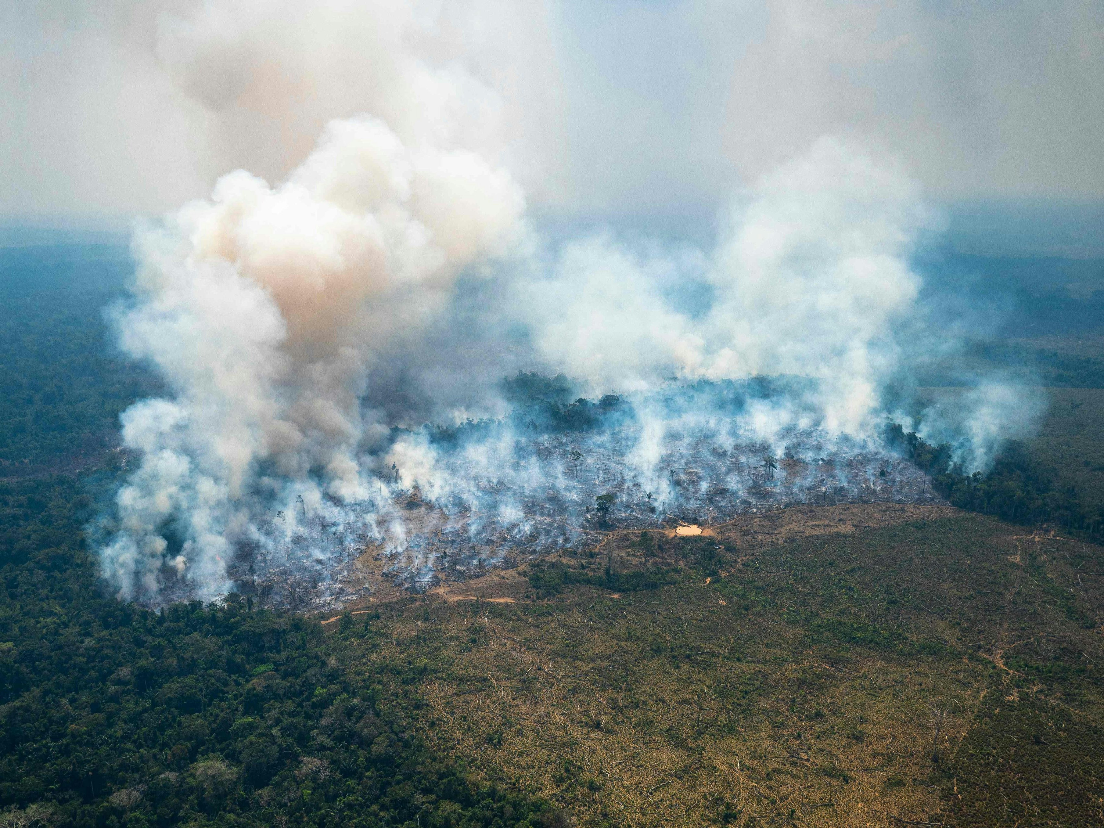 Download von www.picturedesk.com am 26.08.2022 (14:16).  *** SERVICEBILD *** In this handout picture relased by the Colombian Defense Ministry smoke rises from a forest fire in Chiribiquete National Natural Park, in the northwest of the Colombian Amazon on February 4, 2022. - The first month of 2022 was the hottest for the Colombian Amazon in the last decade, leading to an increase in forest fires in the southeastern region and very likely impacting air quality in the capital Bogota, according to an official report released to AFP on Friday. (Photo by Karen SALAMANCA / Colombian Defense Ministry / AFP) / RESTRICTED TO EDITORIAL USE - MANDATORY CREDIT "AFP PHOTO / COLOMBIAN DEFENSE MINISTRY / Karen SALAMANCA " - NO MARKETING - NO ADVERTISING CAMPAIGNS - DISTRIBUTED AS A SERVICE TO CLIENTS - 20220204_PD17910 - Rechteinfo: Servicebild (SB) Bei diesem Bild ist PictureDesk ausschließlich technischer Dienstleister und stellt eine technische Bearbeitungsgebühr in Rechnung. PictureDesk ist weder Urheber noch Rechteinhaber. Die Nutzung liegt in alleiniger Verantwortung des Kunden. Nur für redaktionelle Nutzung! Werbliche Nutzung erfordert Freigabe: bitte schicken Sie uns eine Anfrage.