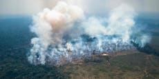 Amazonasgebiet – 3.358 Brände in 24 Stunden