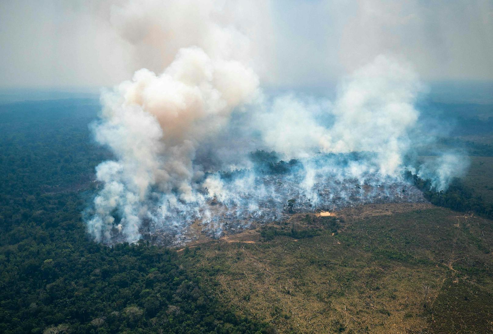 Amazonasgebiet – 3.358 Brände in 24 Stunden