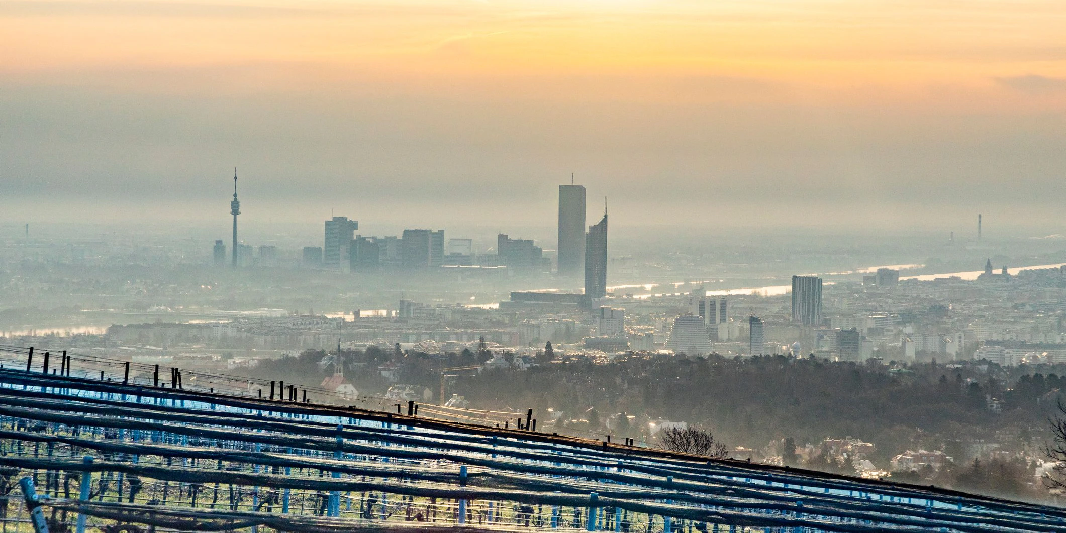 Ab Montag wird es neblig, immer wieder ist auch Regen und Gewittergefahr dabei.