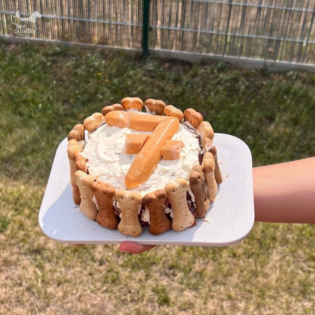Zum siebten Geburstag: Seine Pfleger machten "Leo" mit dieser Torte eine Freude.