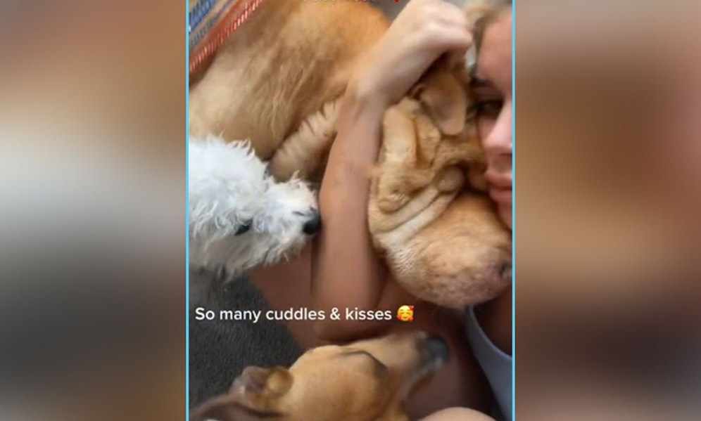 Ein kurzes Video auf TikTok lässt kein Auge trocken.