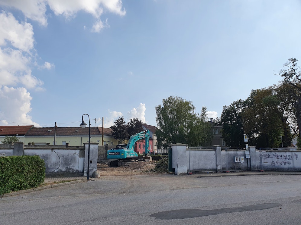 Baumriesen in Deutsch-Wagram versehentlich geschlägert