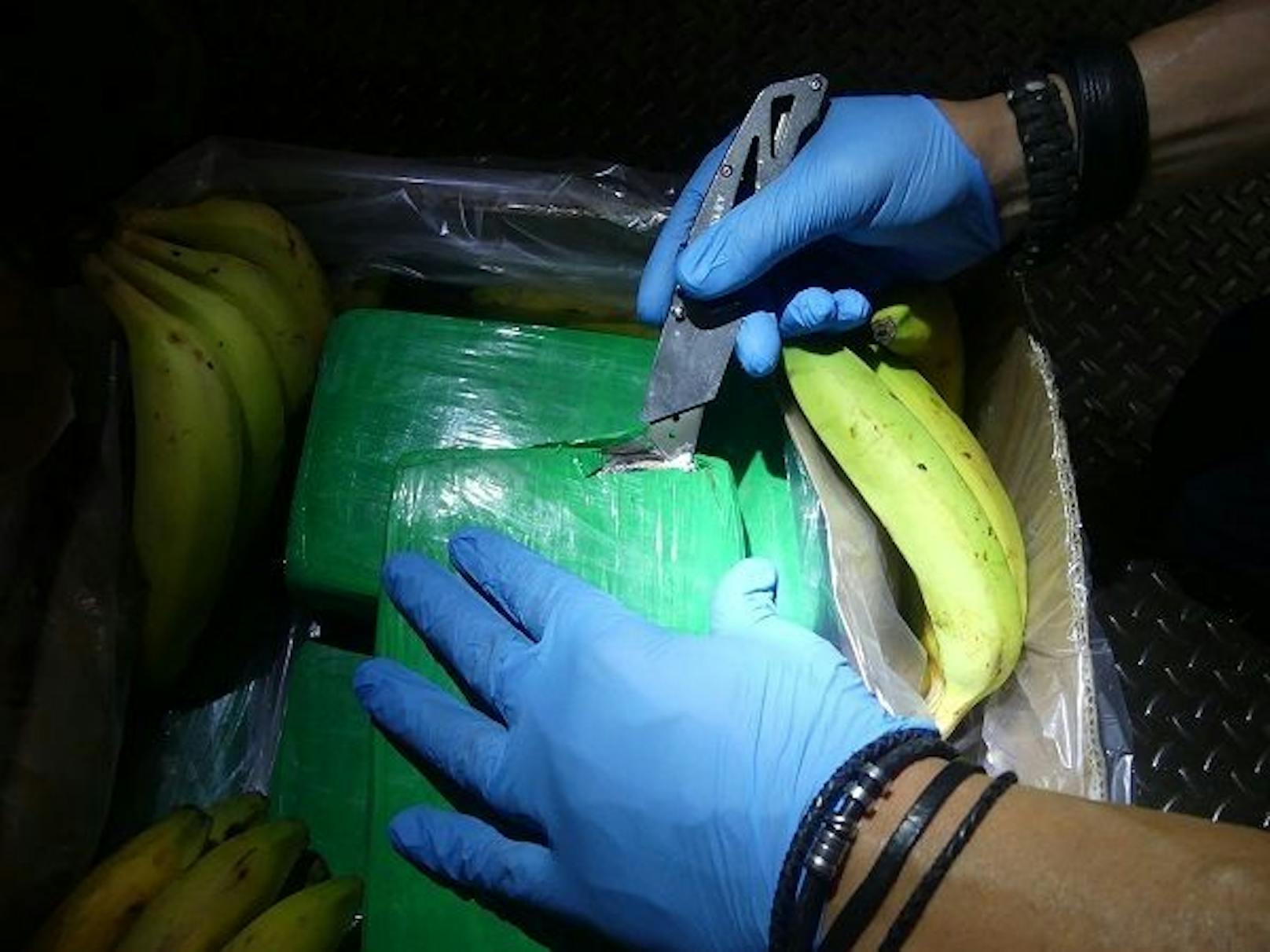 Die Kokain-Päckchen waren unter Bananen versteckt.
