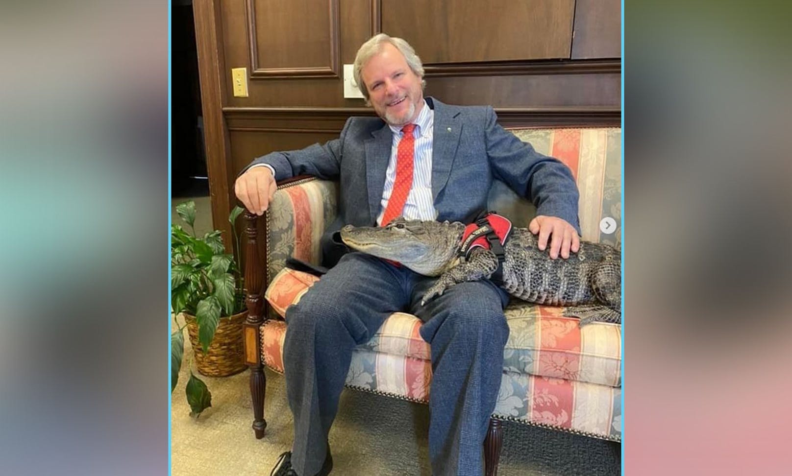 Selbst der Bürgermeister ging mit dem Reptil auf Tuchfühlung.