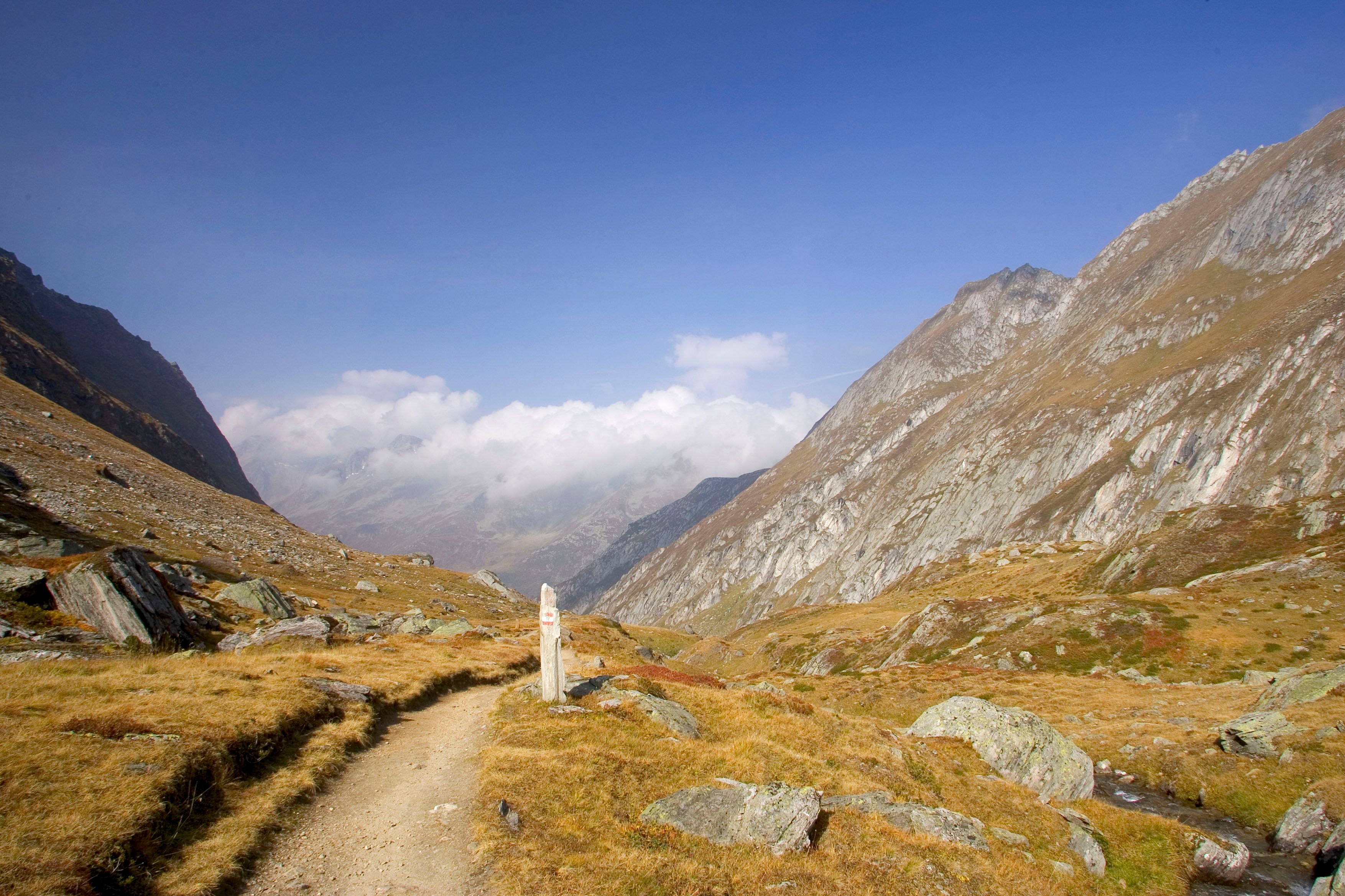 Der Mann stolperte und stürzte 30 Meter in die Tiefe, er landete in einem Bachbett.