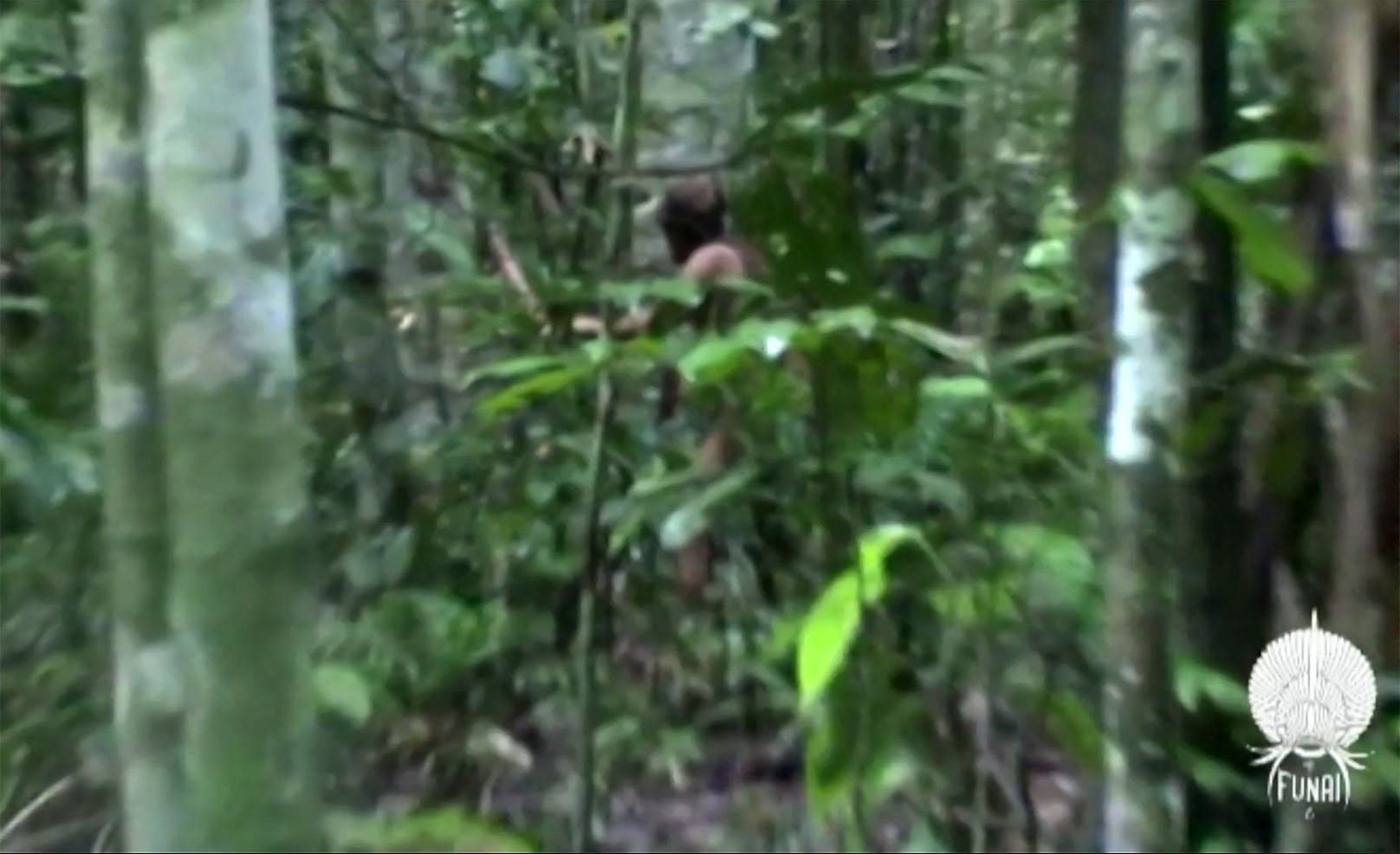 Für mindestens 26 Jahre (über)lebte der <a target="_blank" data-li-document-ref="100225343" href="https://www.heute.at/g/einsamster-mann-der-welt-stirbt-nach-26-jahren-im-dschungel-100225343">letzte Ureinwohner vom in Isolation lebenden Stamm der Tanuru</a> völlig alleine und ohne Kontakt zur Außenwelt im brasilianischen Regenwald.