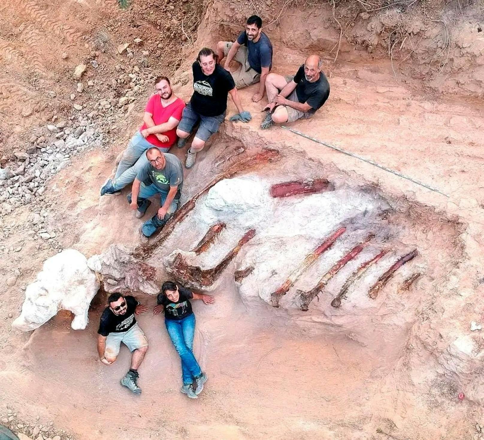 Die Forschenden rund um die Paläontologin Elisabete Malafaia&nbsp;hatten mit den Ausgrabungen in einem Garten am Monte Agudo in der Portugiesischen Kleinstadt Pombal bereits 2017 begonnen.