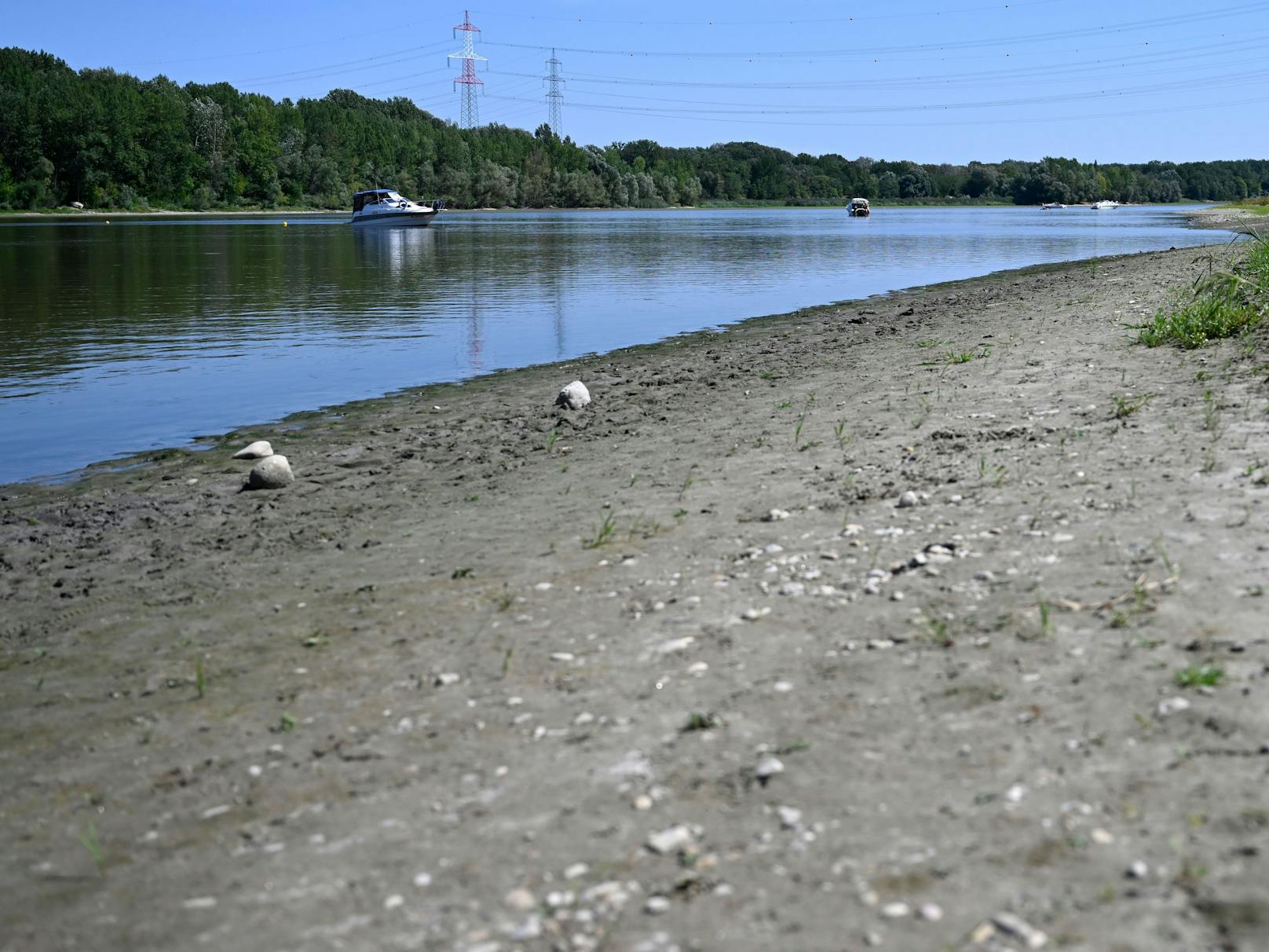 Niedrigwassersituation am Donaualtarm von Altenwörth. Hitze und Dürre in Europa lassen Flüsse austrocknen, auch Grundwasserspiegel sinken historisch tief.