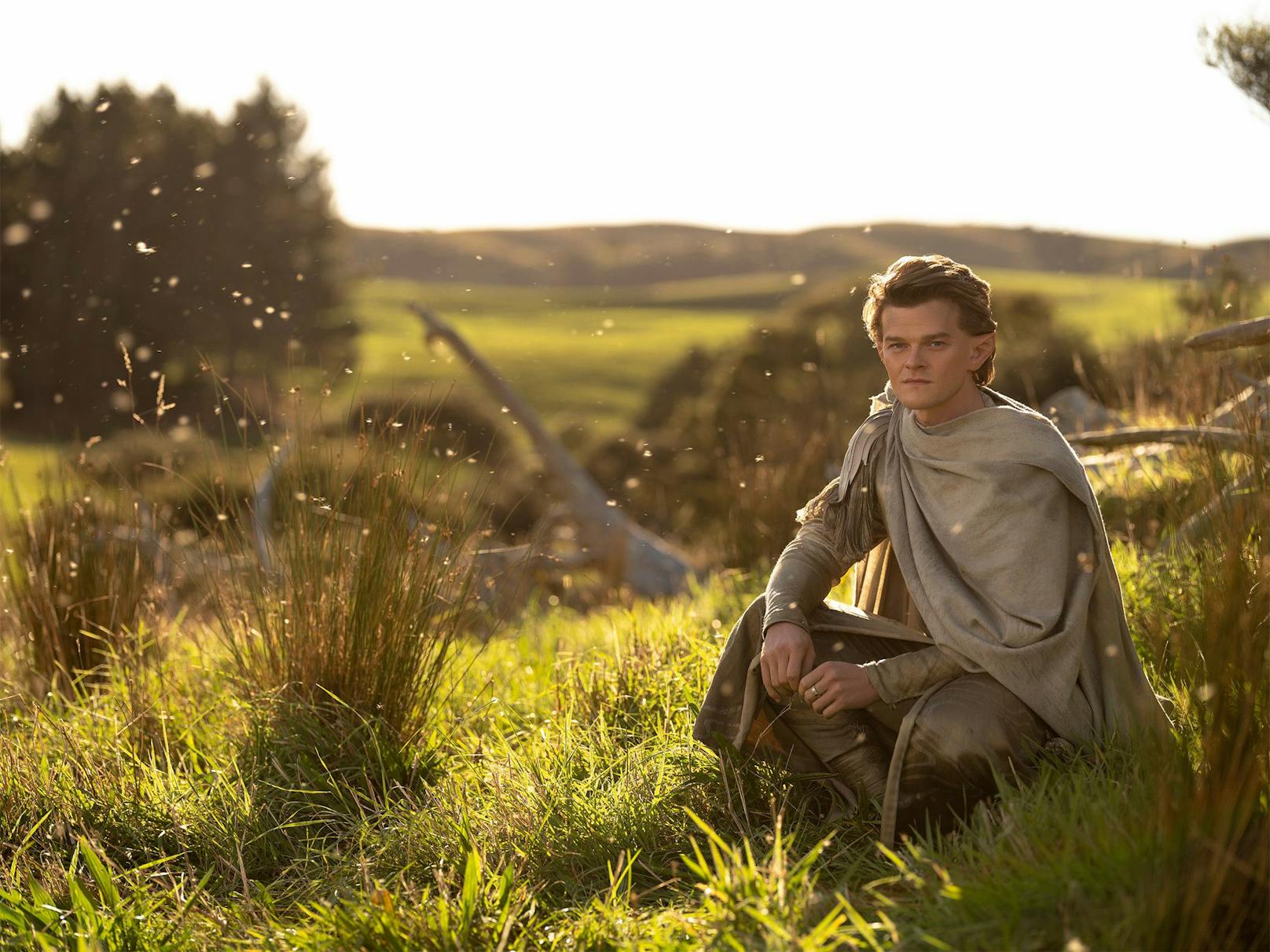Elrond kommt auch in den Filmen vor.