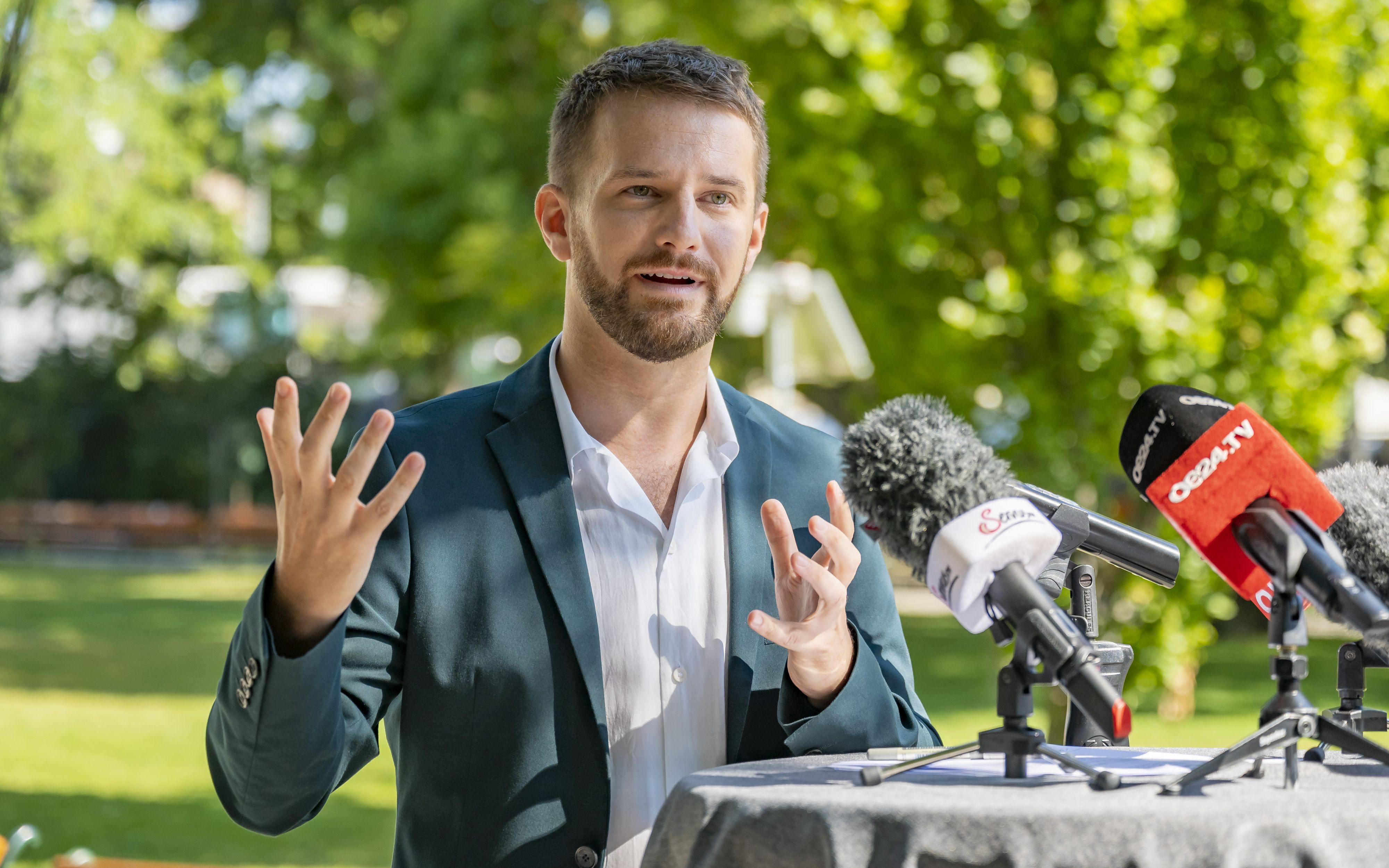 Peter Kraus, Parteivorsitzender der Wiener Grünen