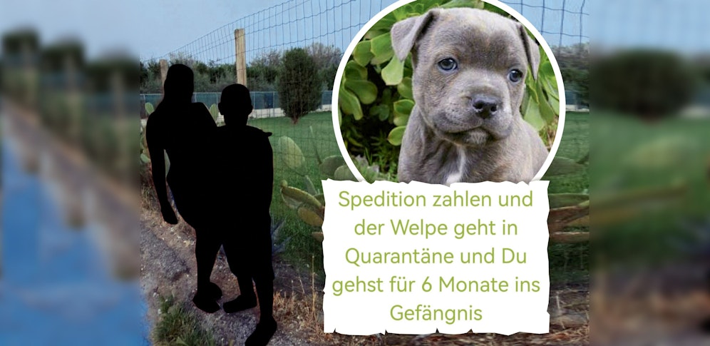 Jelena K. mit ihrem Sohn, als sie vom Hundekauf zurücktrat, hagelte es heftige Drohungen.