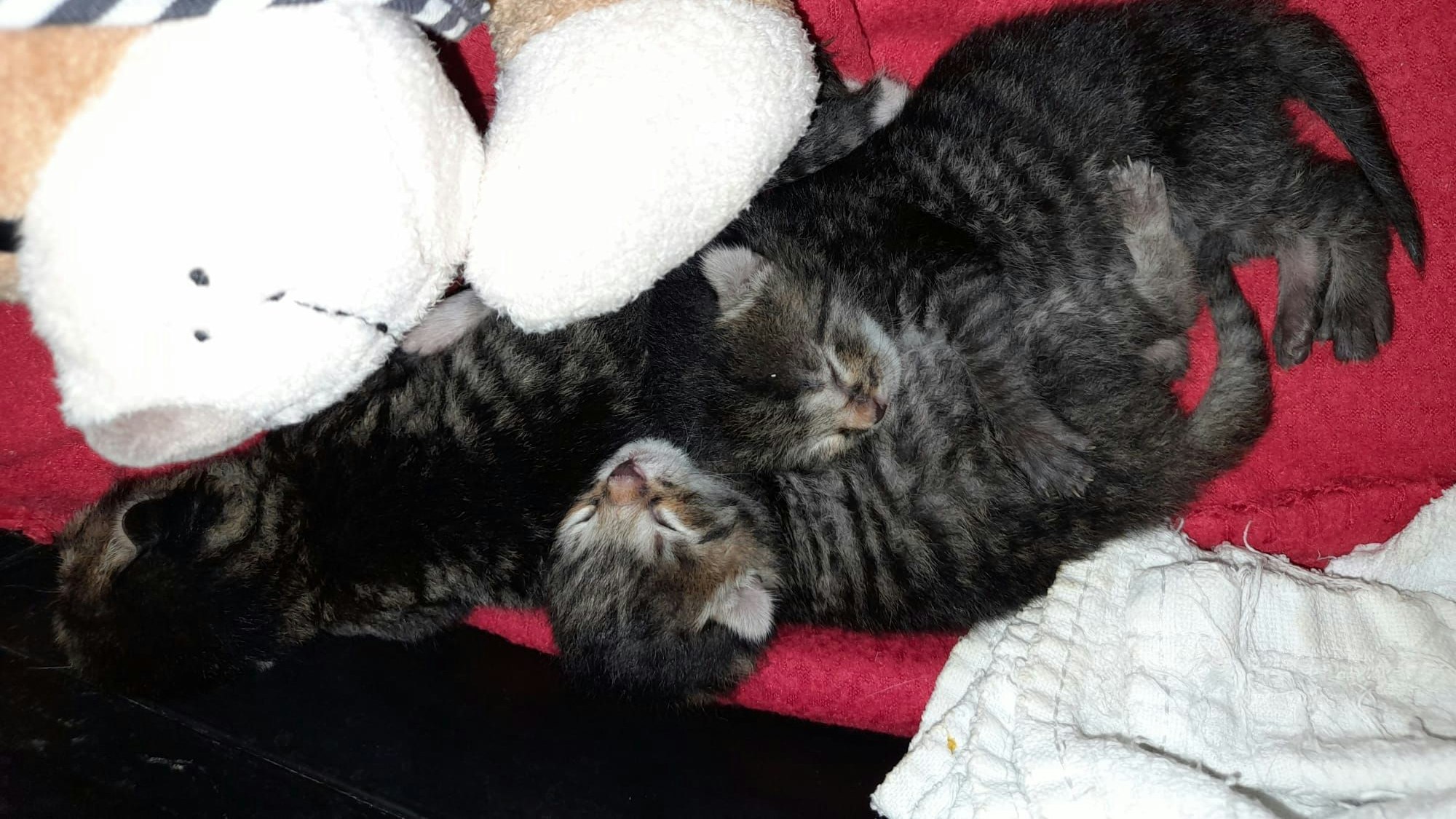 So klein und so hilflos.