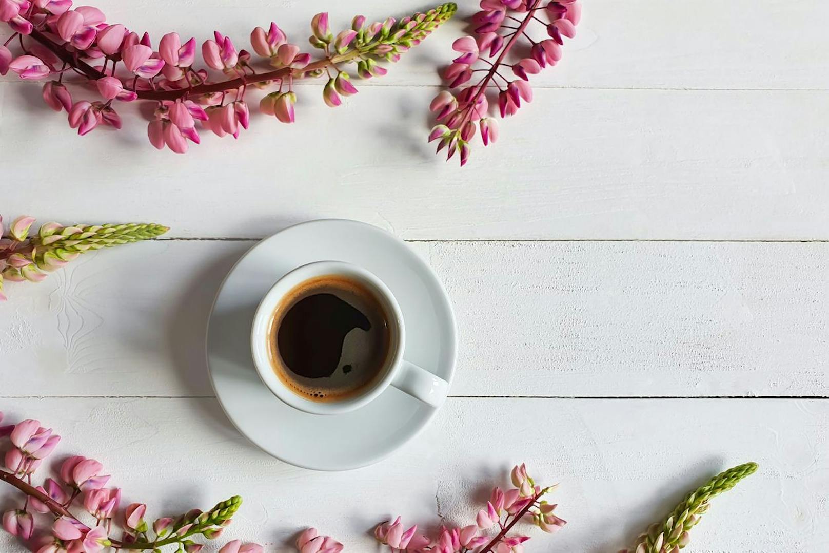 Ein gesunder Kaffee-Ersatz, der nicht auf den eigentlichen Kaffeegeschmack verzichtet, wäre Lupinenkaffee. Dieses trägt ein leckeres Kaffee-Aroma, sowie nahrhafte Vitamine und Spurenelemente.