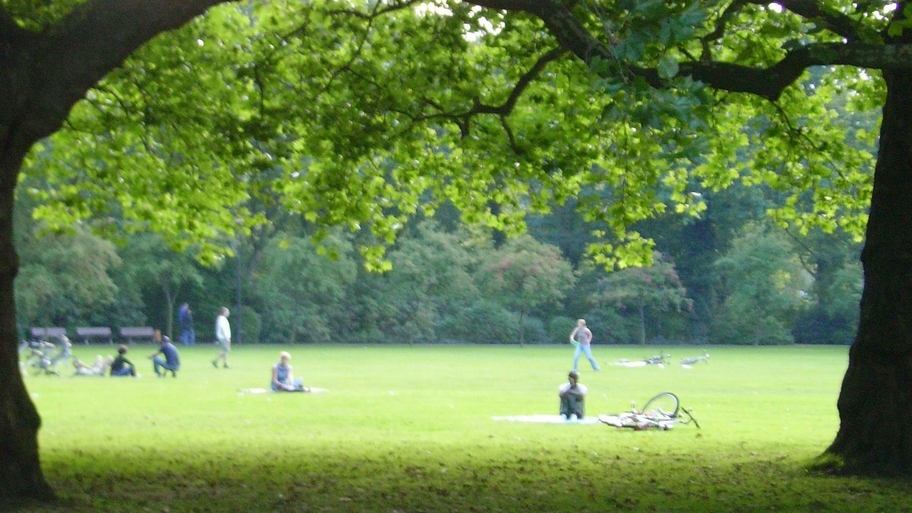 Der Vorfall ereignete sich im Volkspark in Kaiserslautern.
