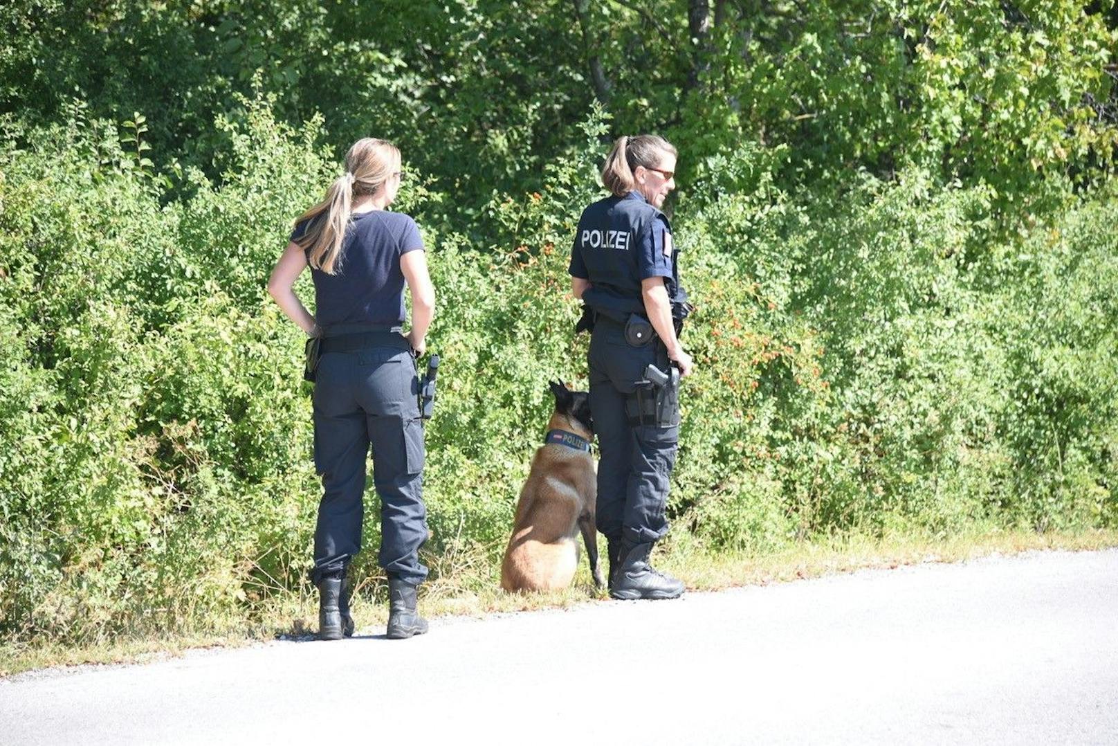 Die Polizei sucht derzeit das Gebiet rund um das Haus in Oberwaltersdorf ab.
