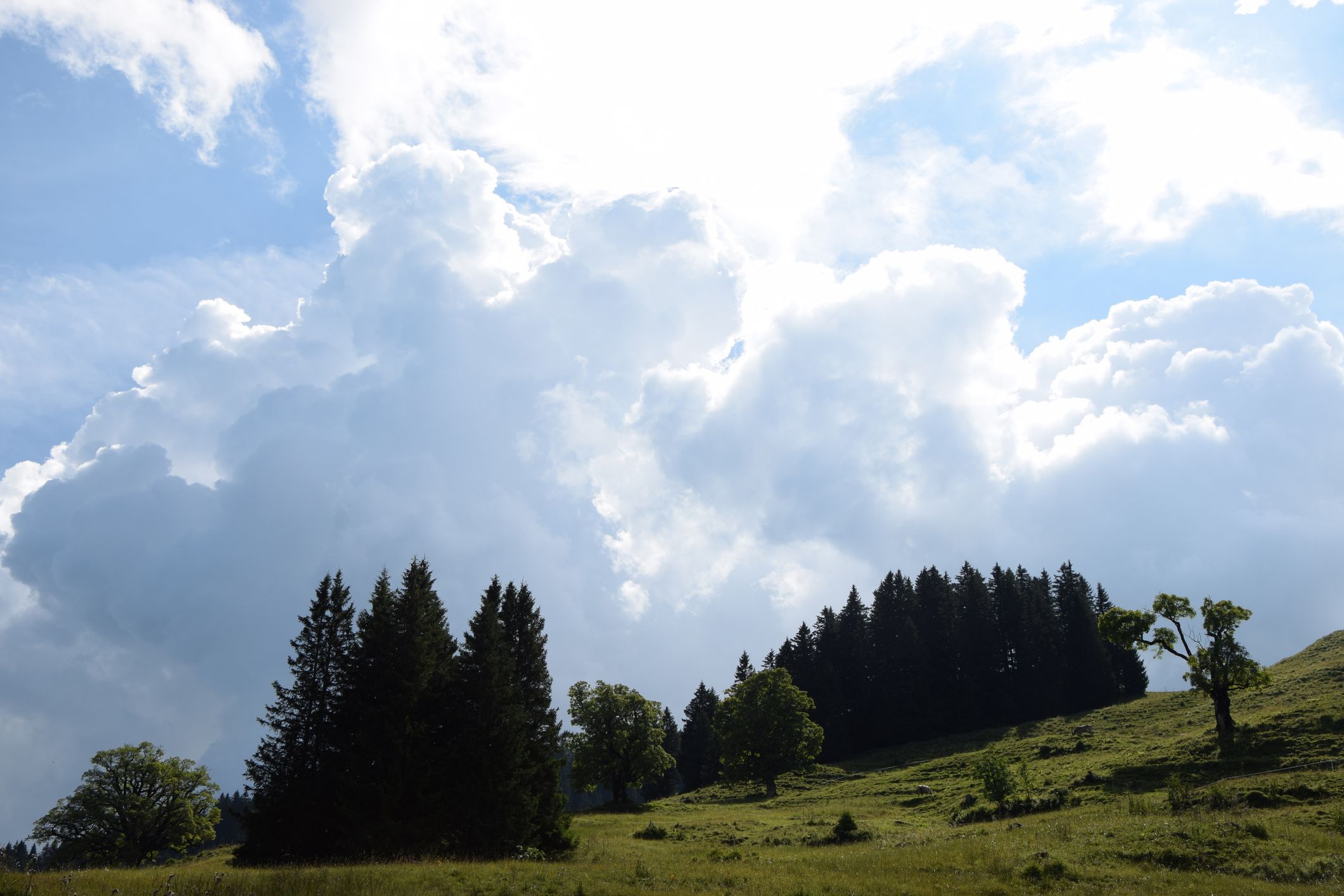 In Vorarlberg gilt bereits Warnstufe Rot. (Symbolbild)