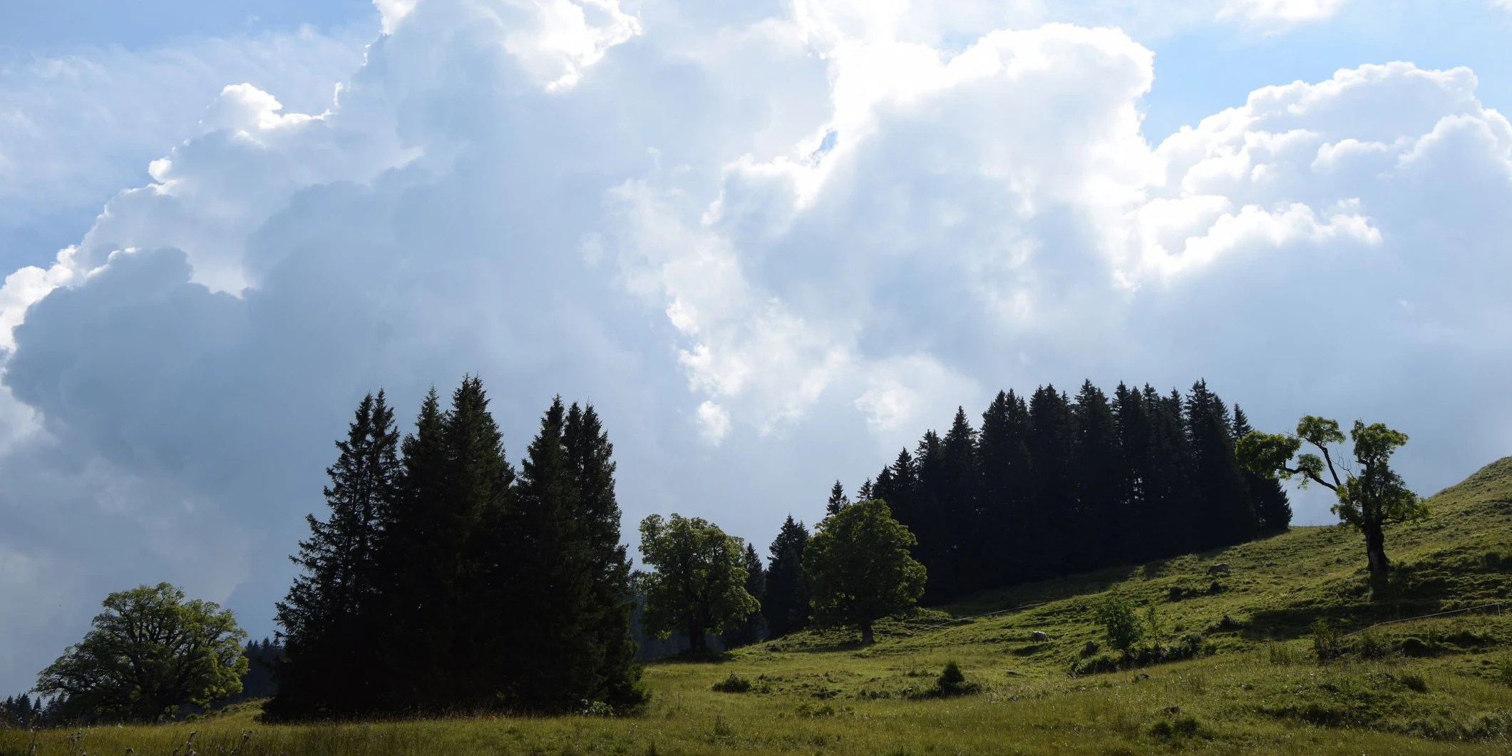 In Vorarlberg gilt bereits Warnstufe Rot. (Symbolbild)