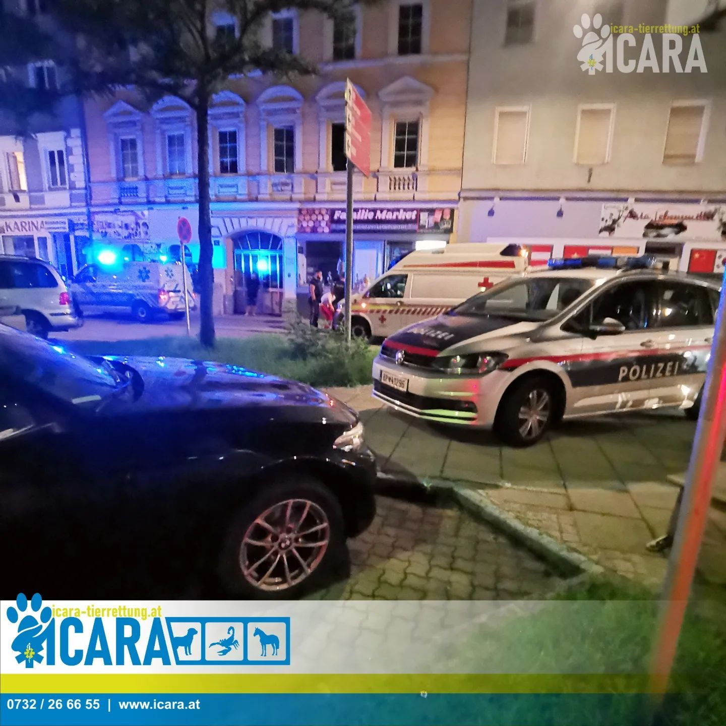 Ungewöhnlicher Einsatz: Die Tierrettung half in Linz einer jungen Frau, die plötzlich leblos zusammengebrochen war.