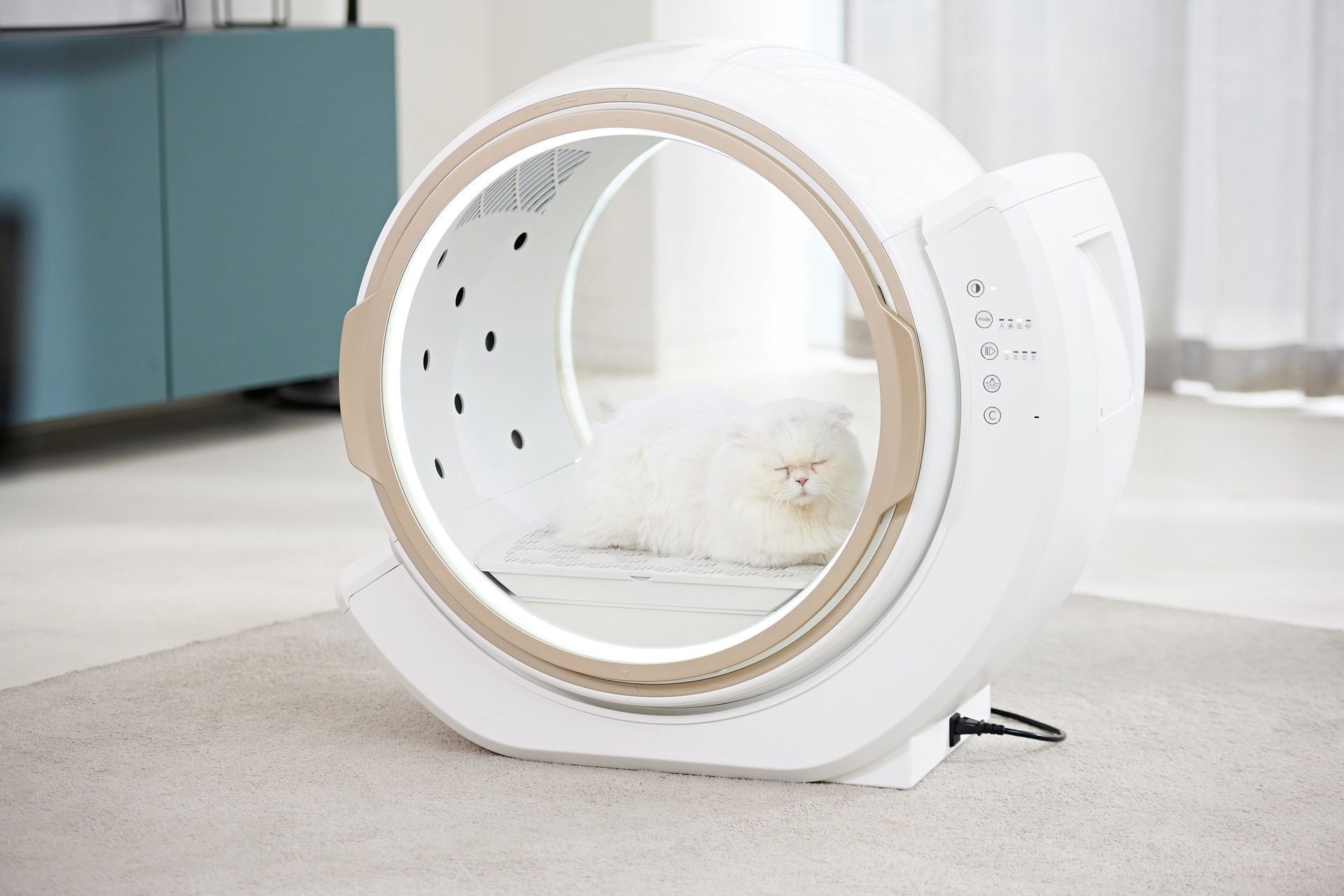 Petmiglia: In Korea ein Hit, jetzt nehmen die Hersteller Europa ins Visier.