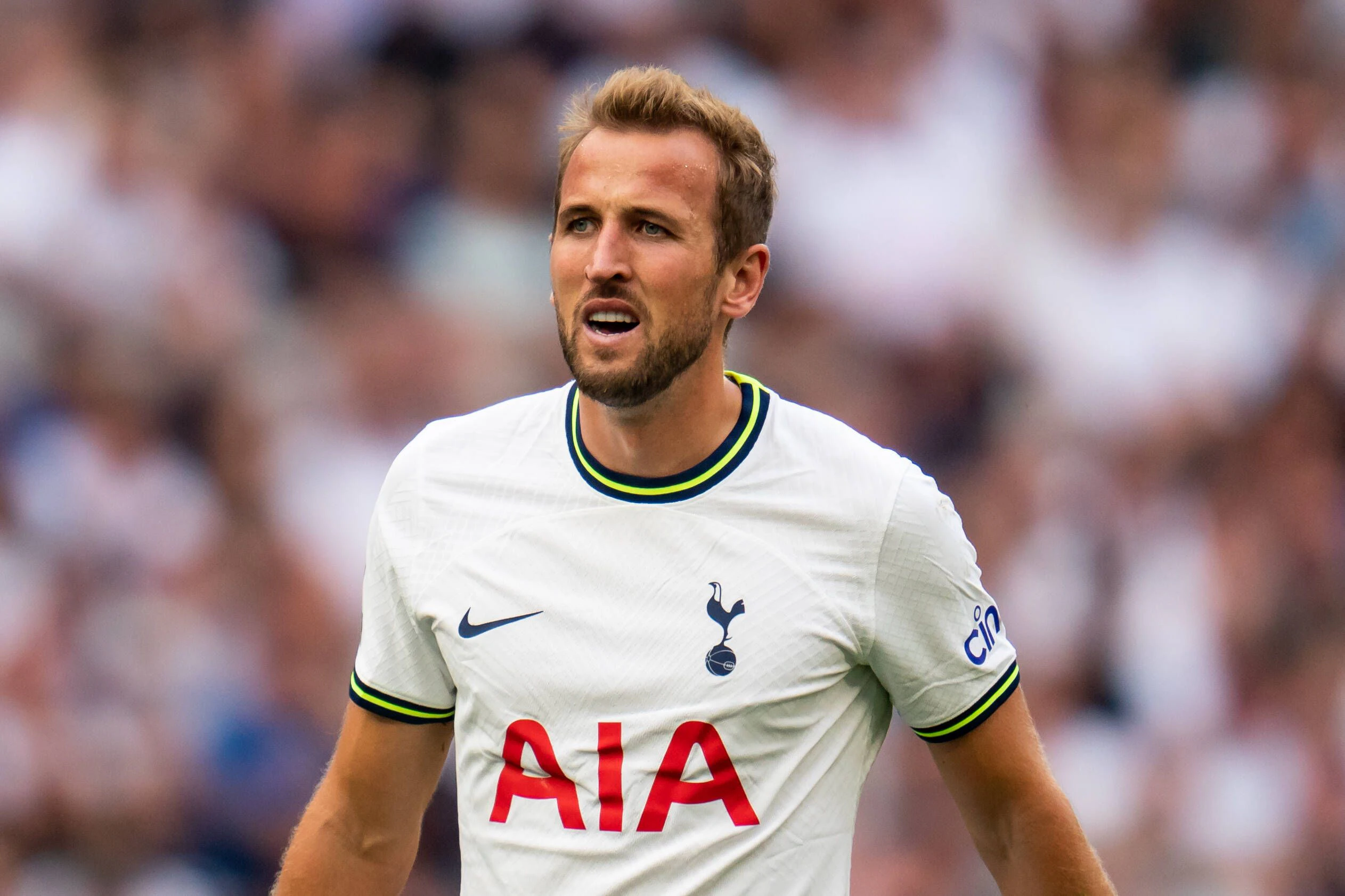 Harry Kane steht auf der Bayern-Wunschliste ganz oben. 