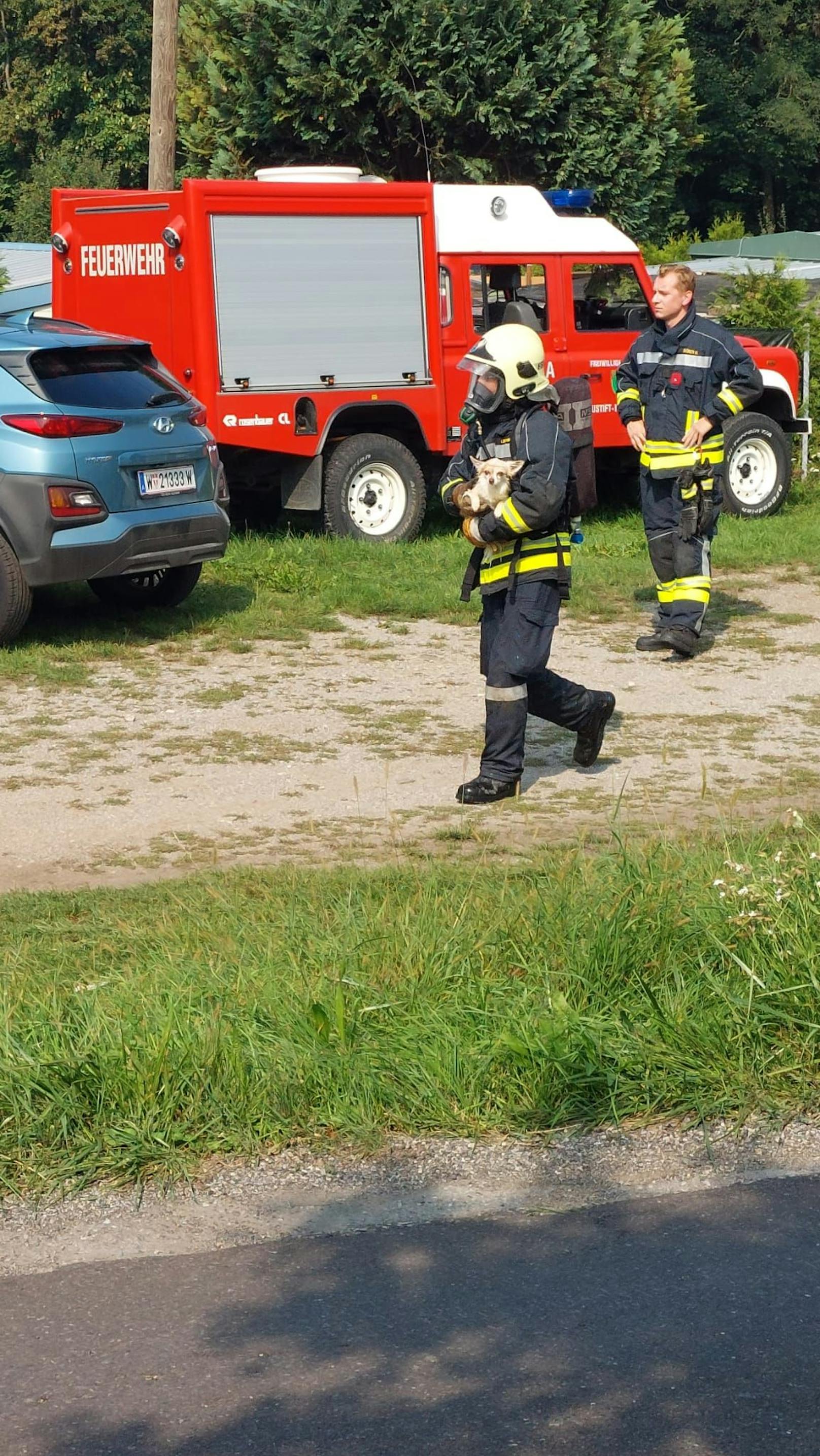 Brand bei Neulengbach: Auch ein Hund konnte gerettet werden.