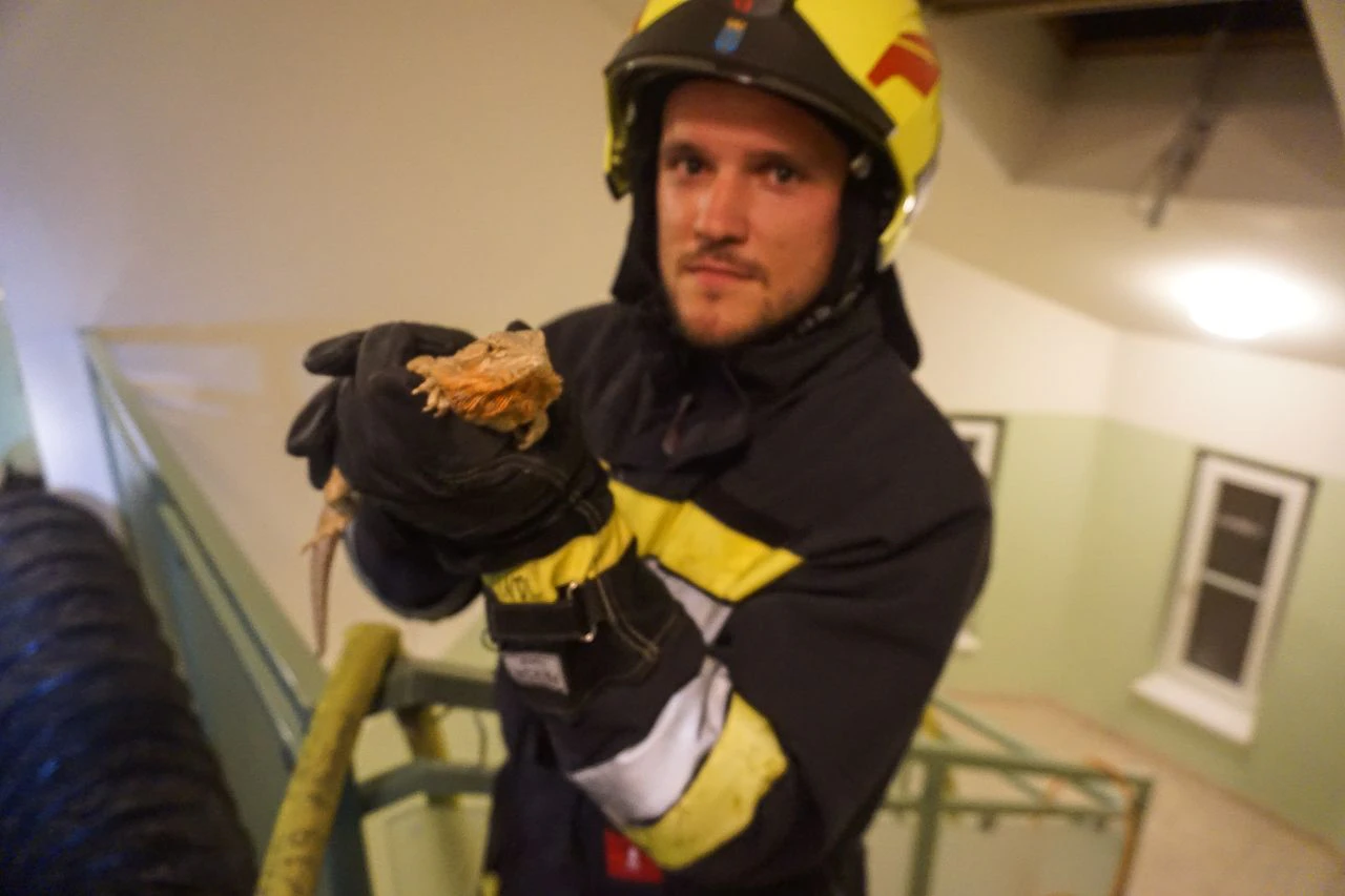 Großeinsatz bei Brand in Mehrparteienhaus