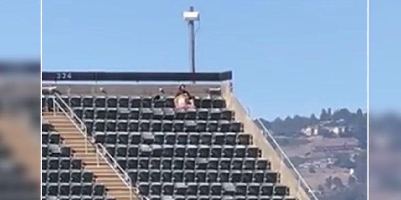 Heute.at - Paar hat Stadion-Sex, während Baseball-Spiel noch läuft