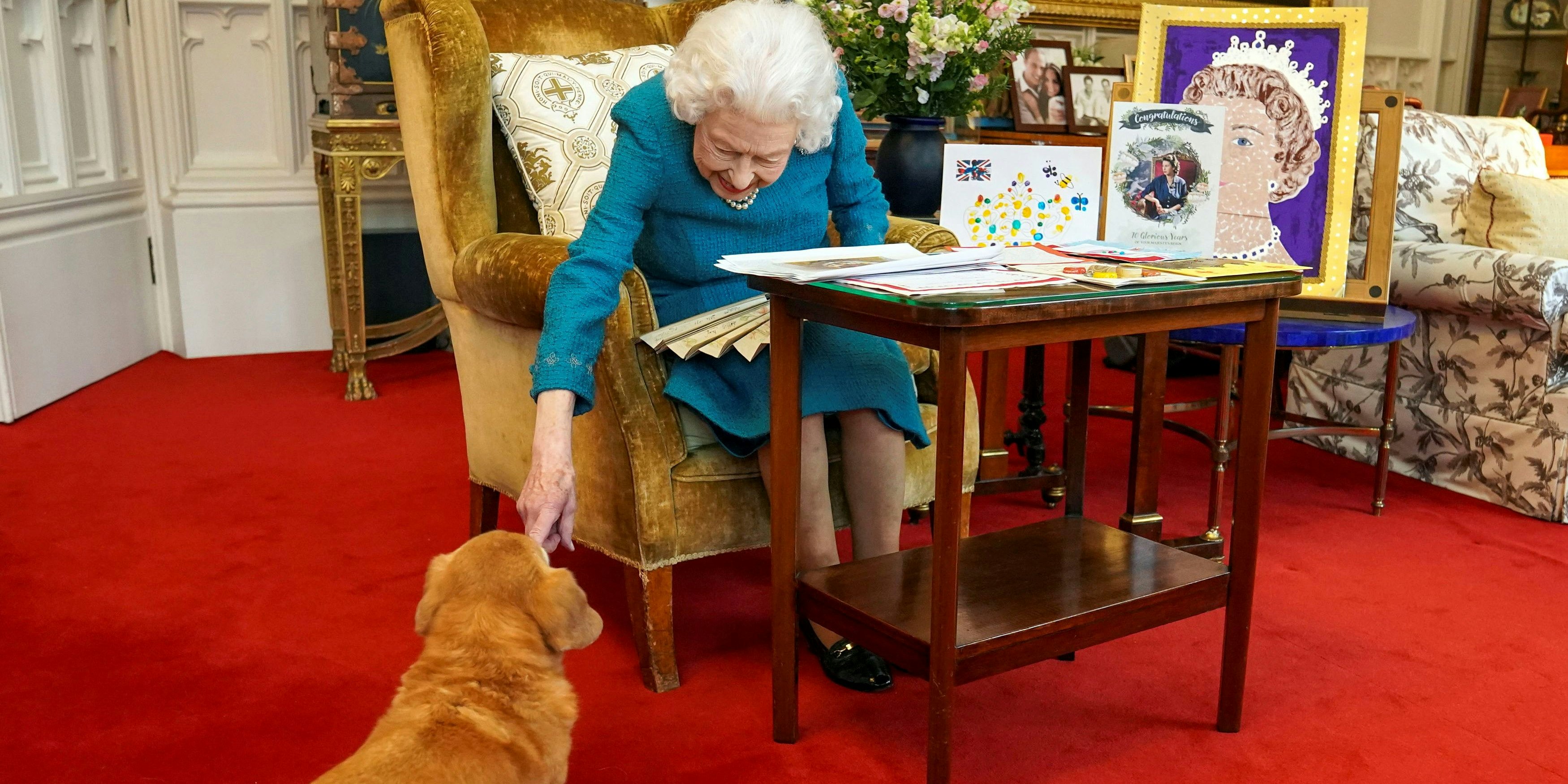 Elizabeth II. mit einem ihrer Hunde.