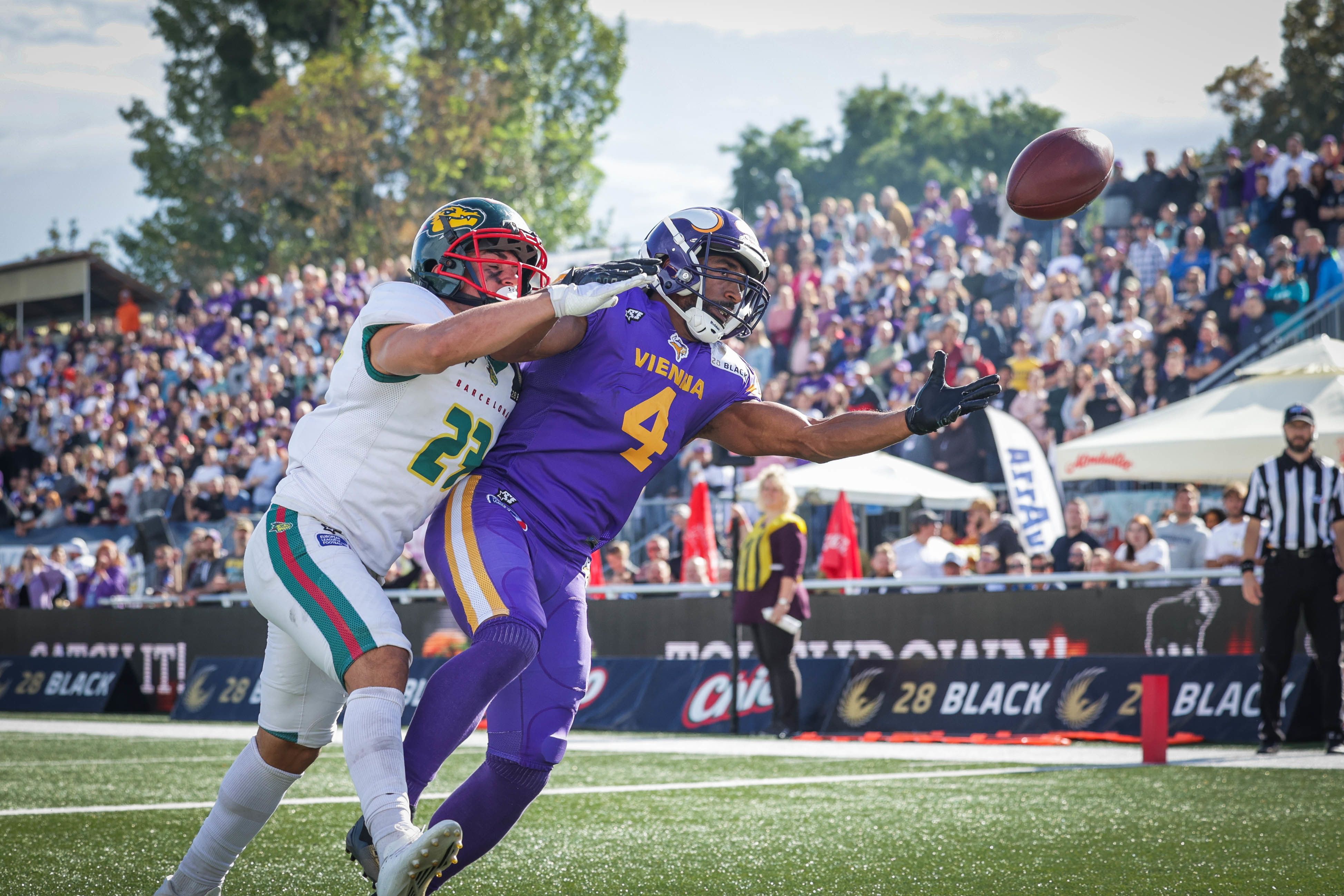 Die Vikings stehen im ELF-Finale