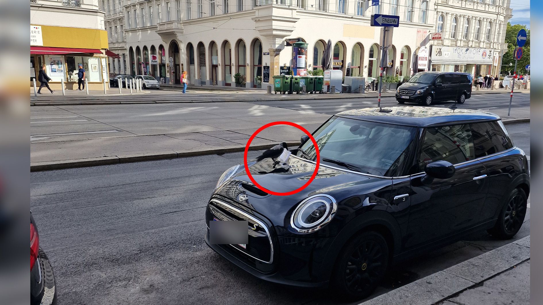 Der Vogel wollte scheinbar die in der Windschutzscheibe eingeklemmte Strafe klauen. 