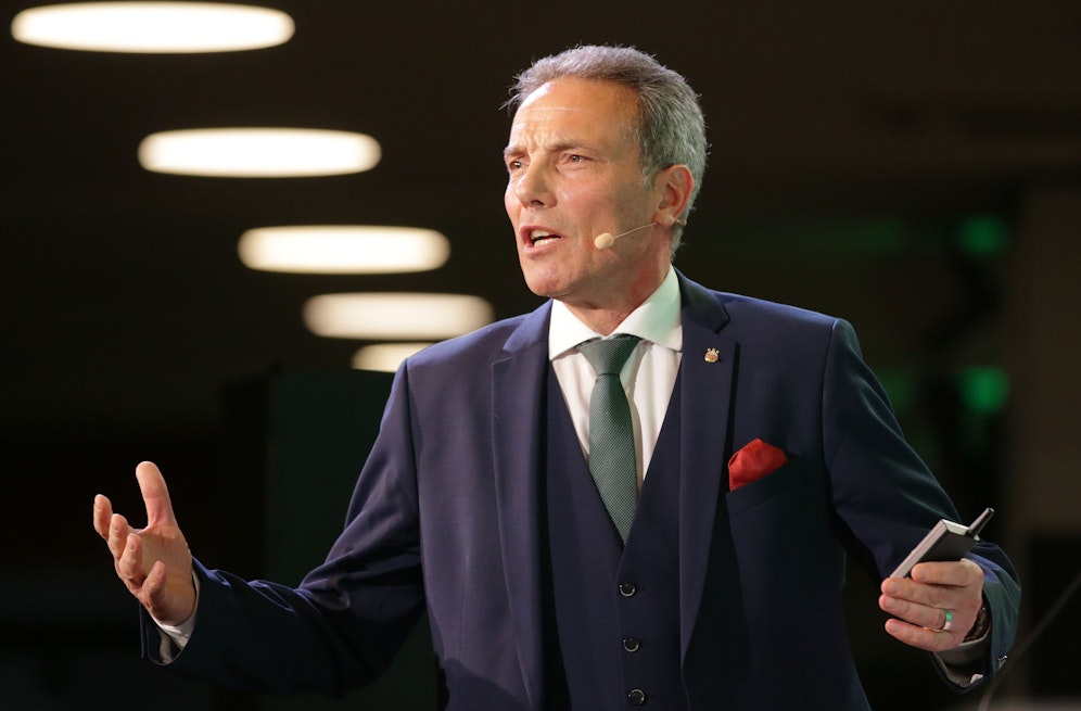 Ex-Rapid-Boss Michael Krammer