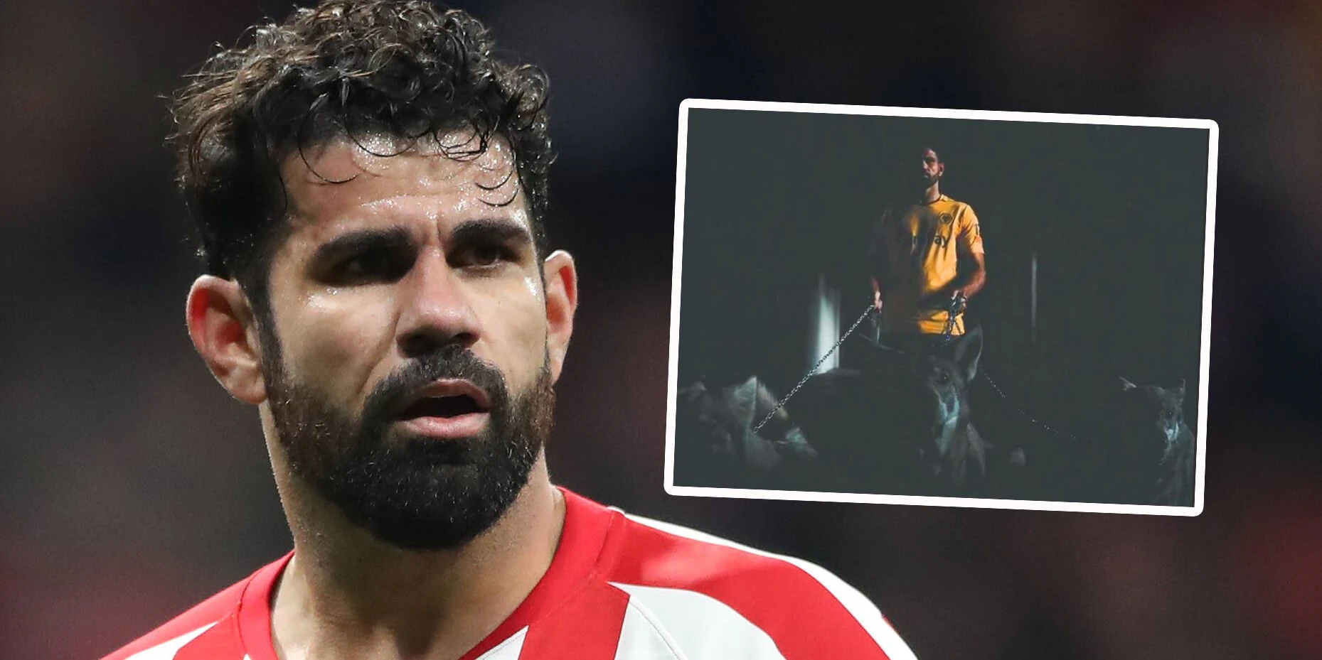 Diego Costa wird ein "Wolf".