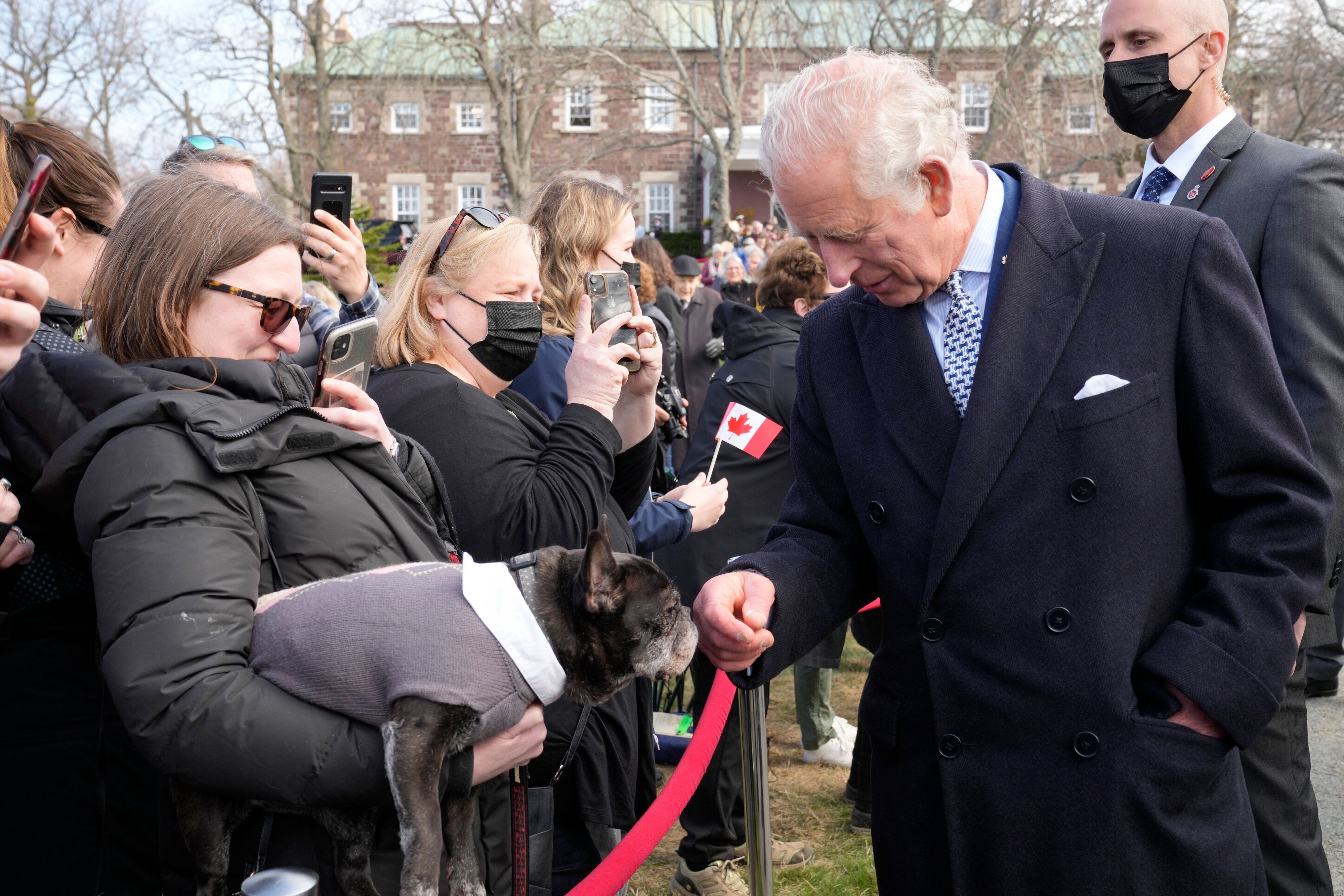 In der Netflix-Serie 