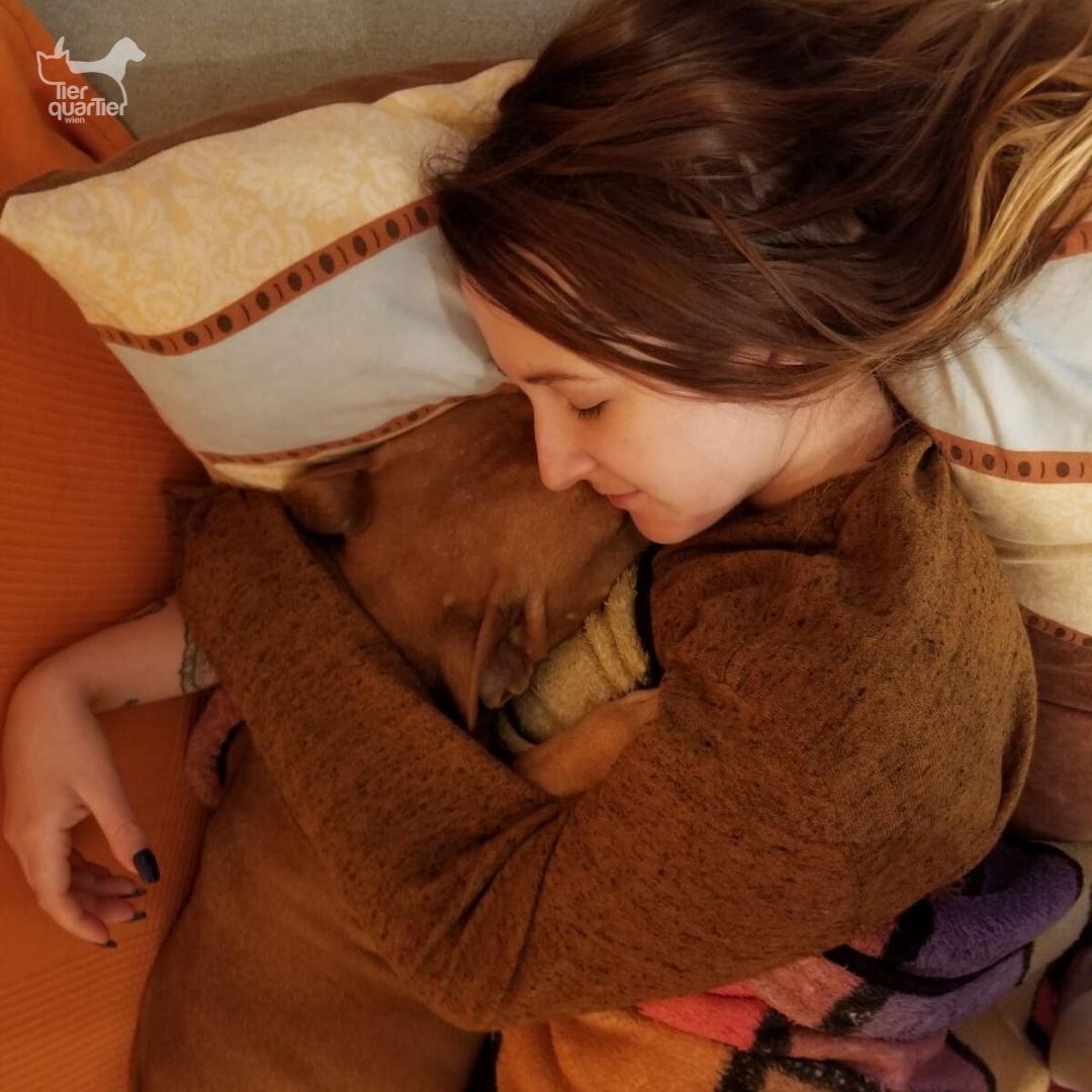 Hund Pumba war ein Kuschelbär.