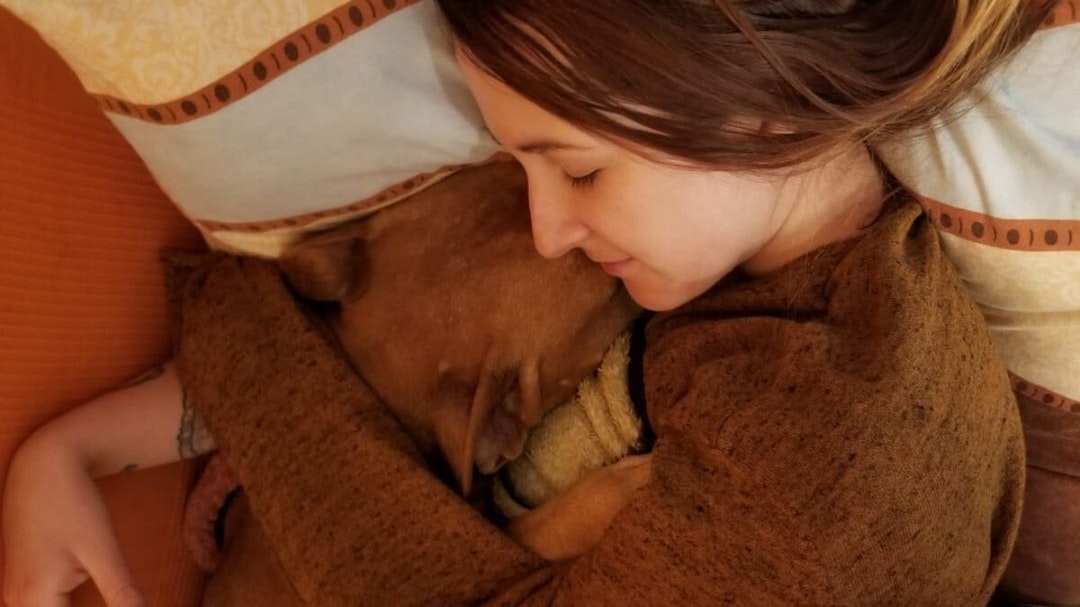 Hund Pumba war ein Kuschelbär