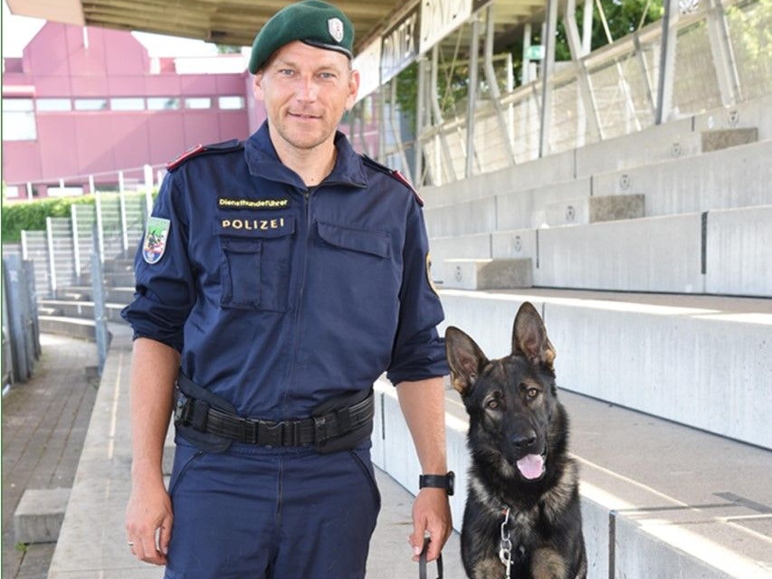 Der Diensthund "Igor vom Langen Elend" konnte den Einbrecher stelleb.