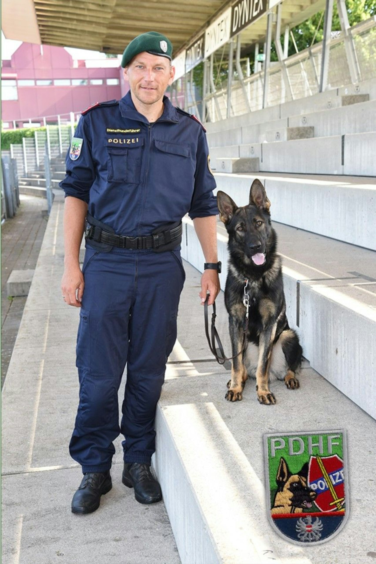 Heute.at - Einbrecher hat gegen Spürhund Igor keine Chance
